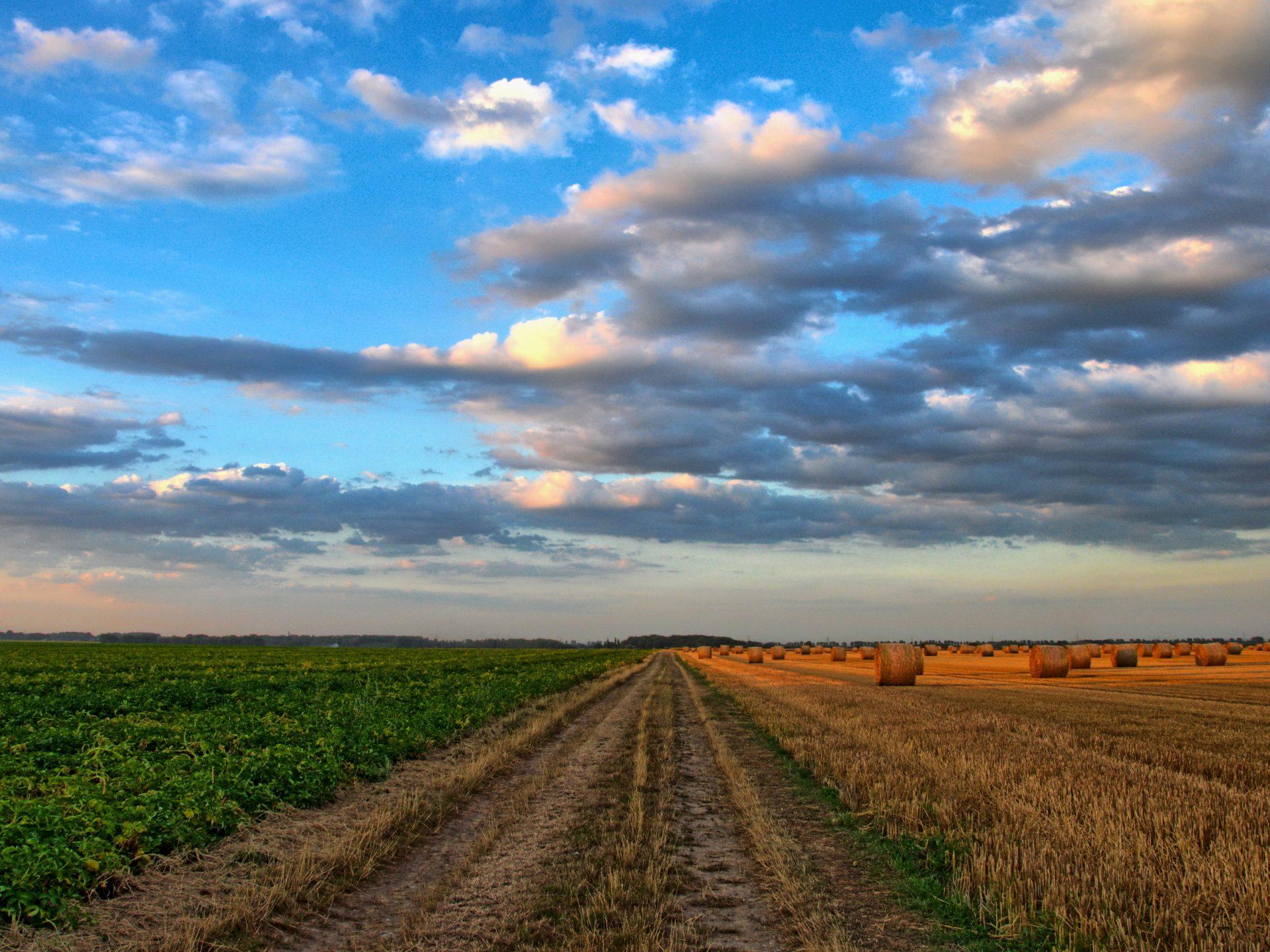 1920x1440 Country Road, Field, Harvest, Bales Of Straw Horizon And White Clouds HD Wallpaper For Laptop Widescreen Free Download :