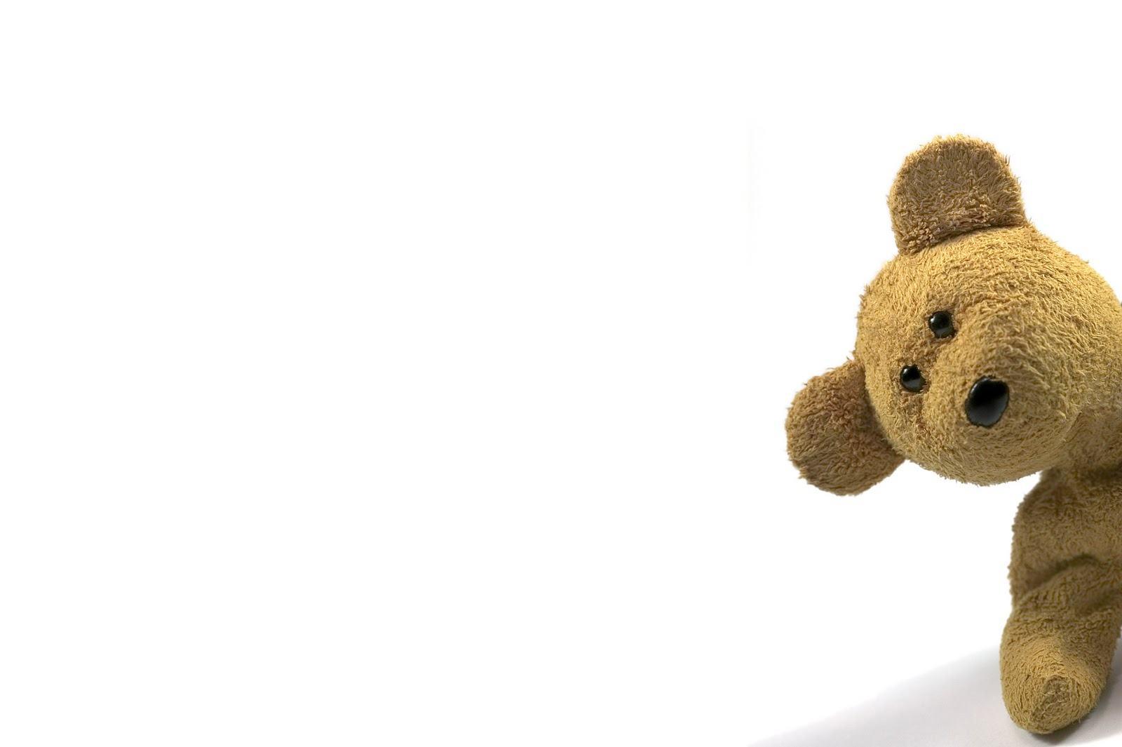 1600x1065 Kawaii Bear Wallpaper