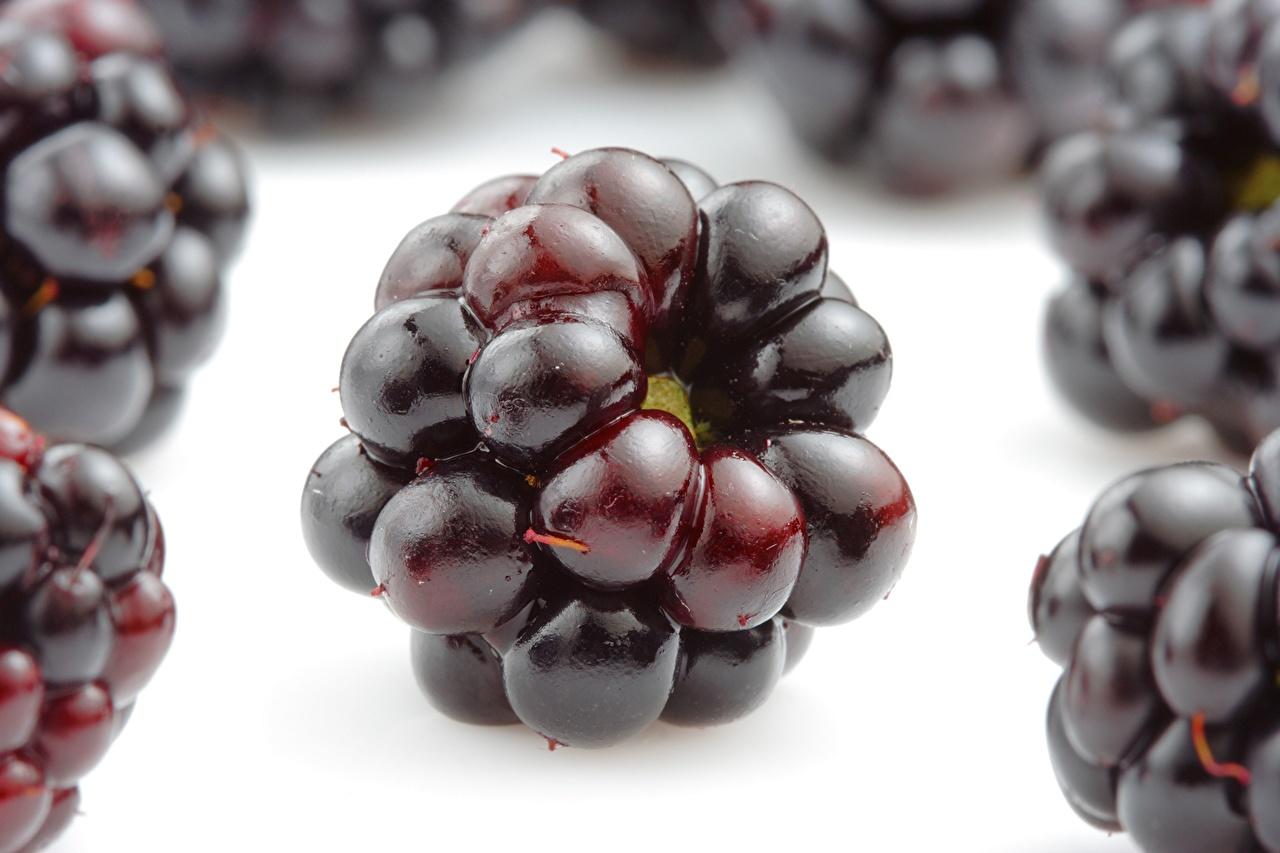 1280x853 Picture Blackberry Food Fruit