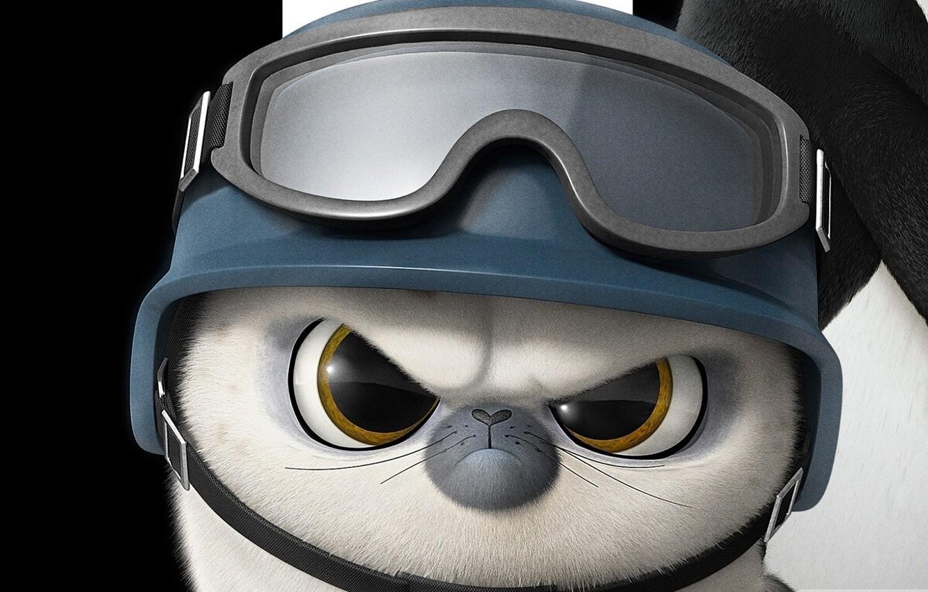 1332x850 Wallpaper white, black, seal, soldier, bird, spy, feathers, cartoon, animal, cute, warrior, fur, pearls, kuwaii, penguin, graphic animation image for desktop, section фильмы