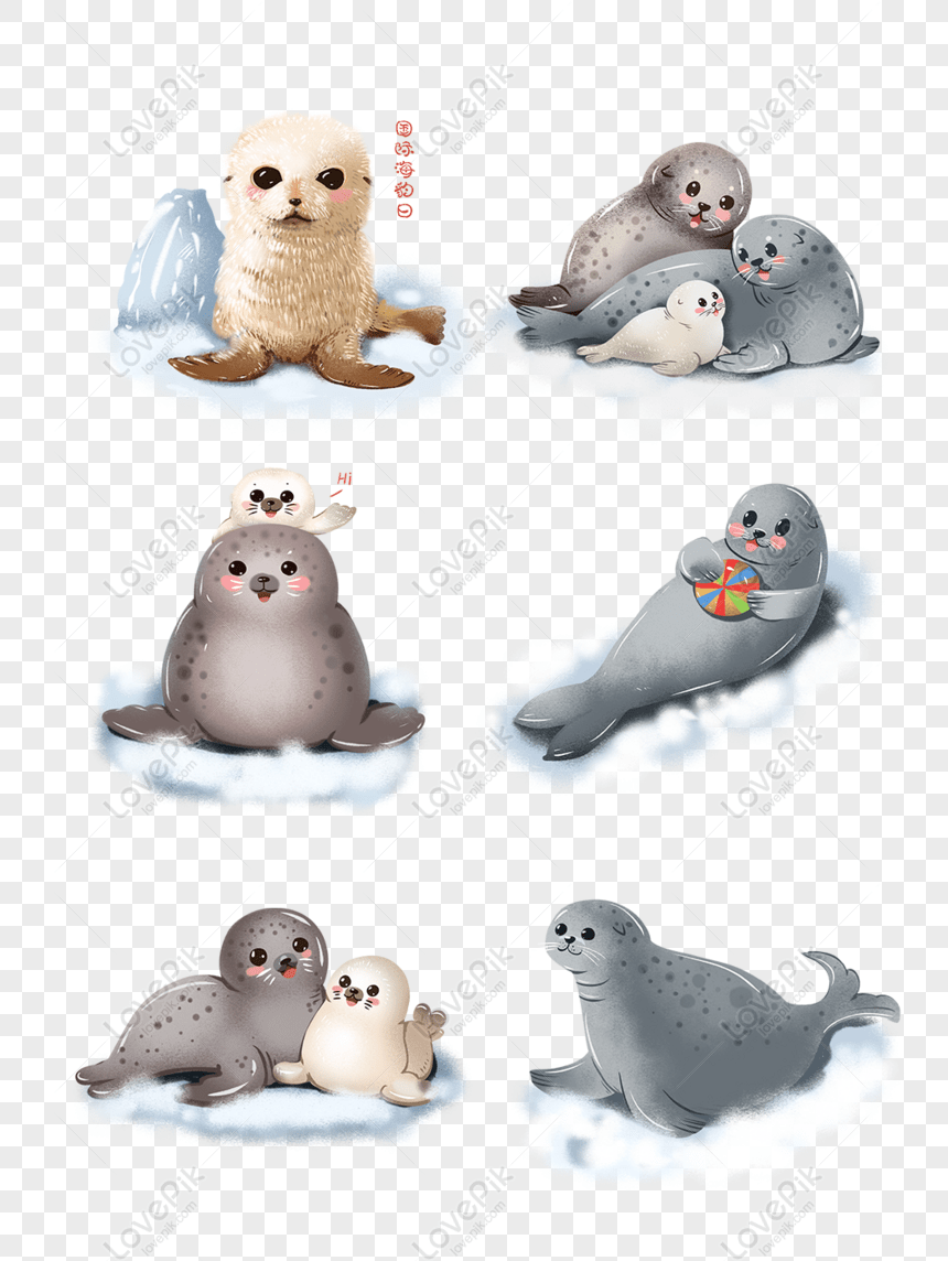860x1144 Free International Seal Festival Hand Drawn Cartoon Seal PNG & PSD image download