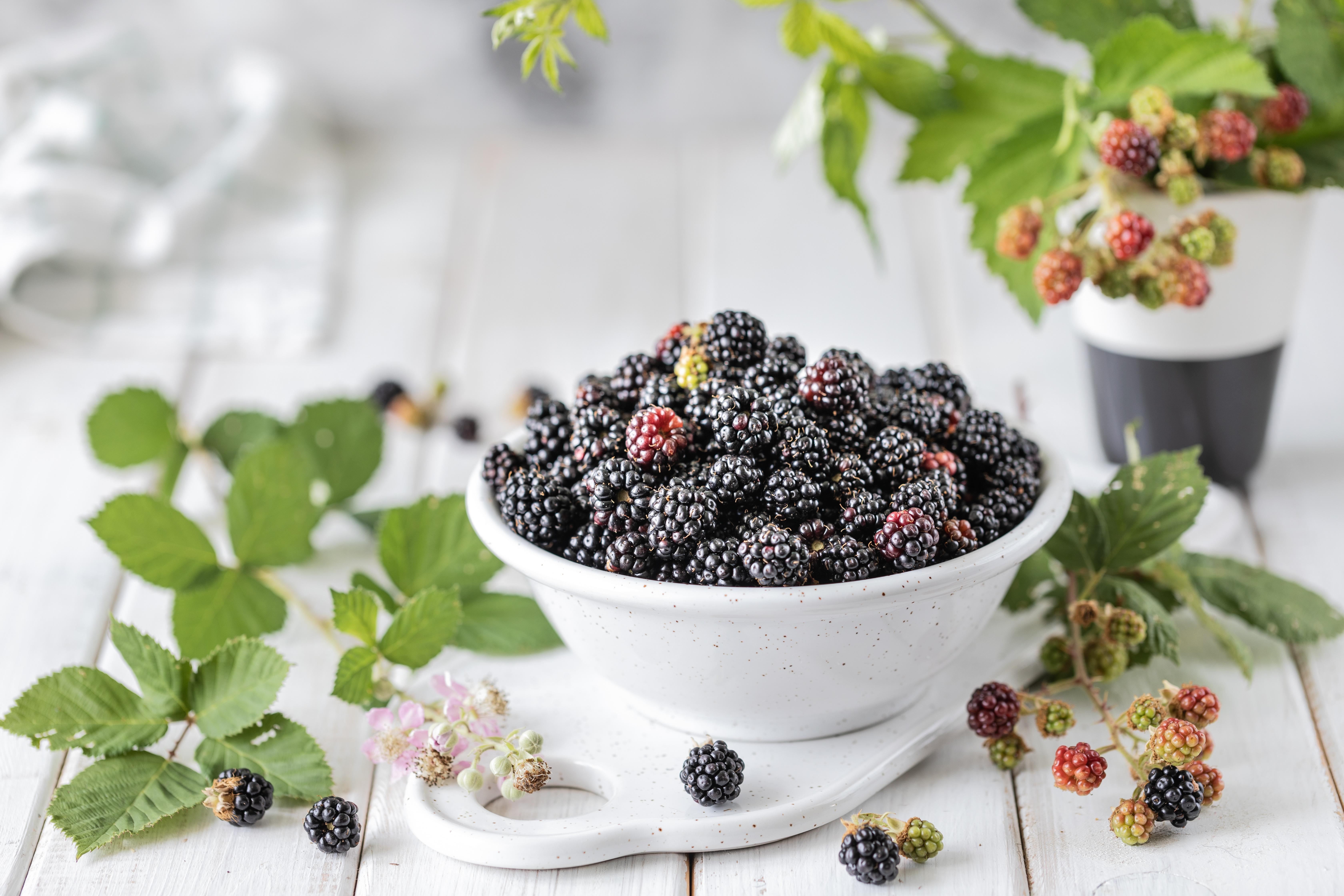 6720x4480 Berry Blackberry Fruit Still Life Wallpaper:6720x4480