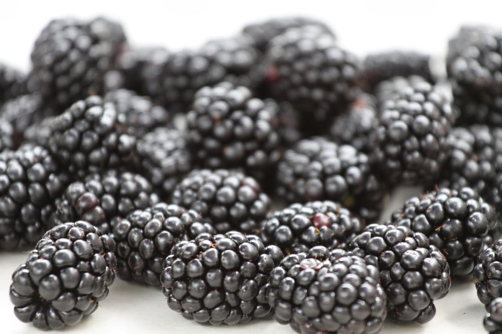 1600x1067 HD Wallpaper. Funny Videos. Hot Girls Photo. Amazing Wallpaper. Funny Picture: Blackberry Fruit Wallpaper