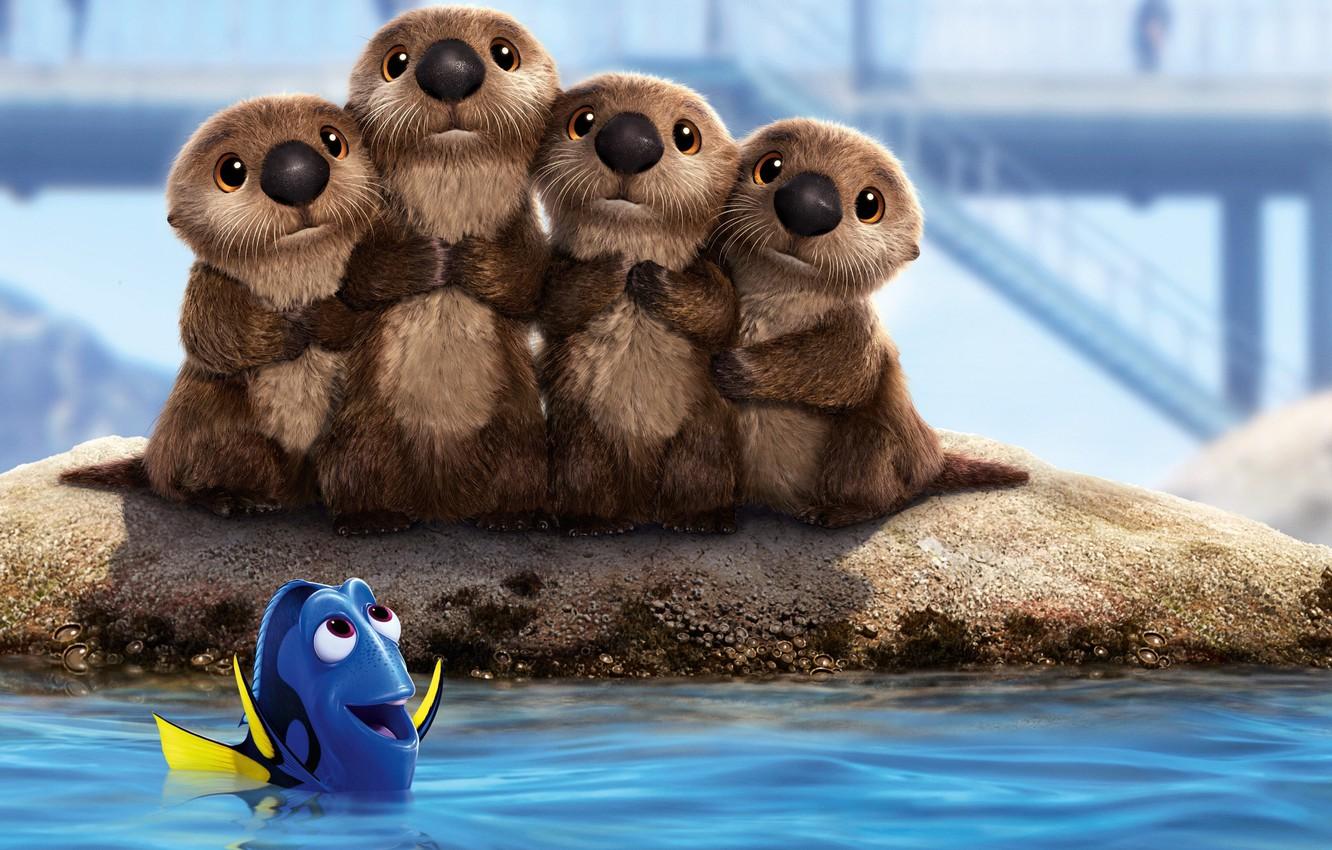 1332x850 wallpaper nemo, animated cartoon, otter, marine mammal, seal, animation, sea otter, terrestrial animal, adaptation, fur seal, snout