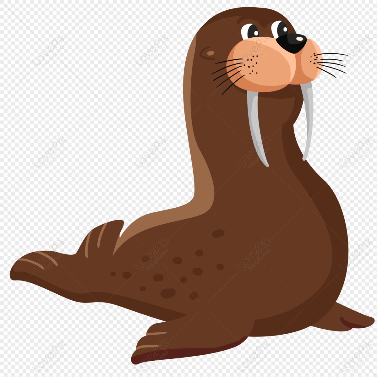 1200x1200 Hand Drawn Cartoon Sea Lion Seal PNG Image & PSD File Free Download