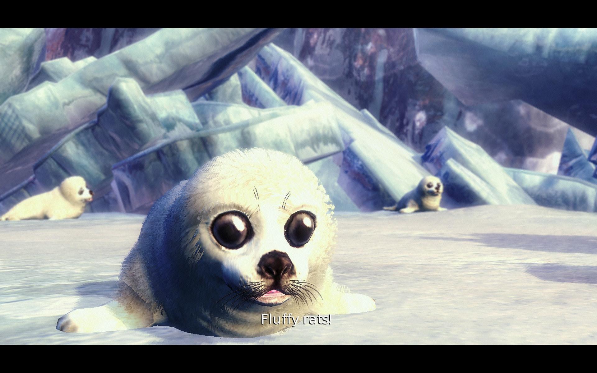 1920x1200 Baby Seal Wallpaper background picture
