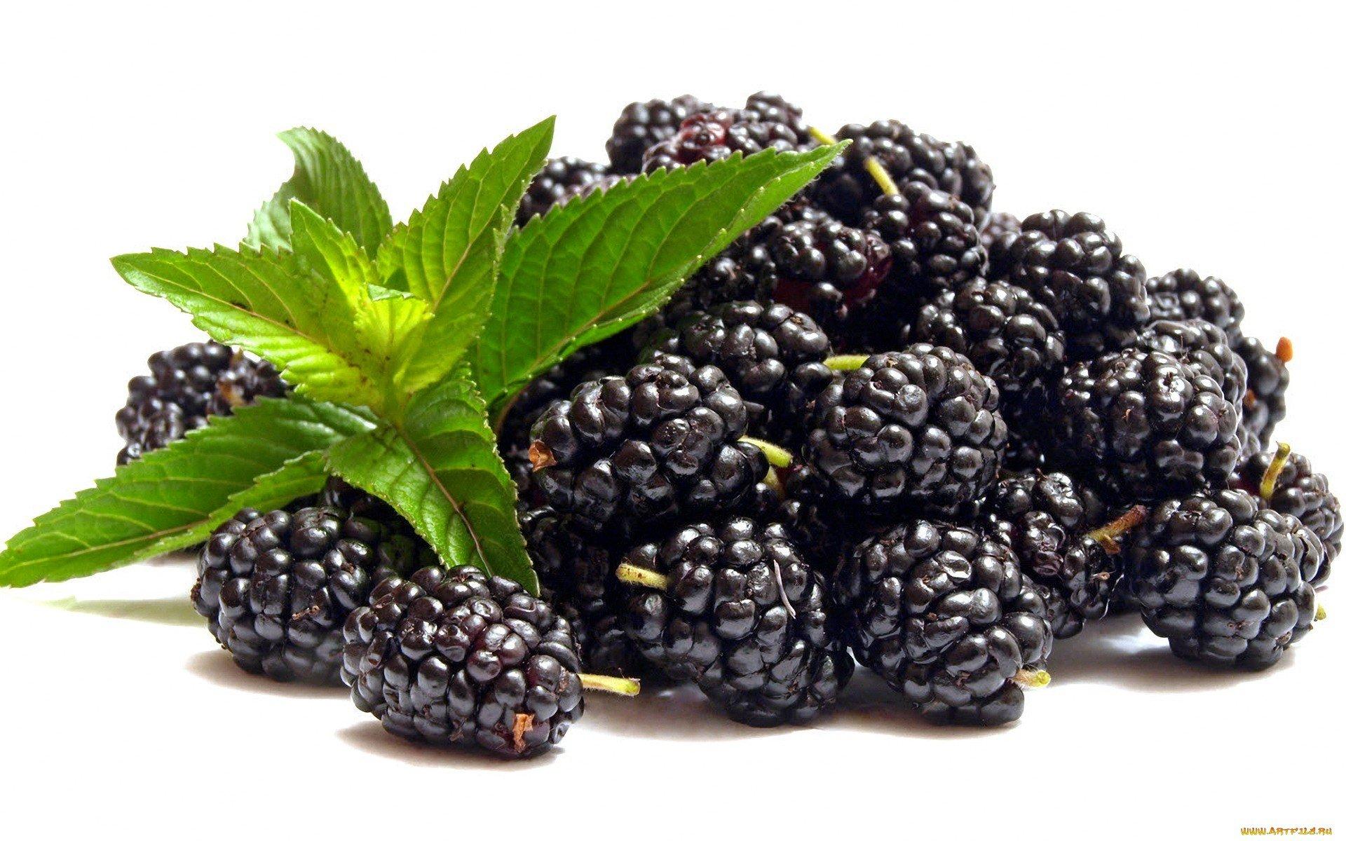 1920x1200 Blackberry wallpaper 1920x1200 desktop background