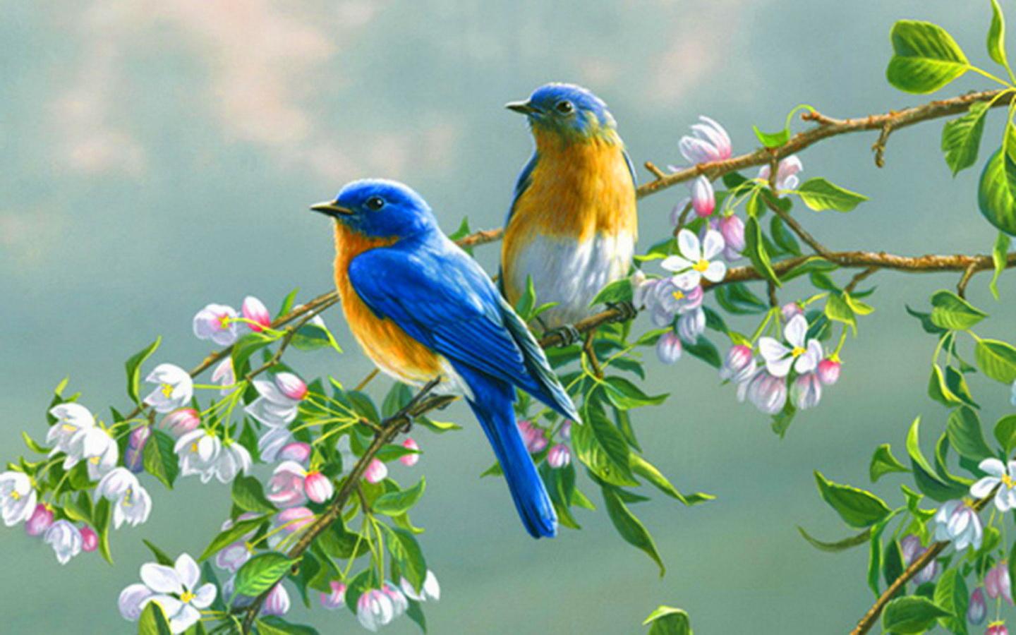 1440x900 Free download Cute birds on spring branch wallpaper ForWallpapercom [1440x900] for your Desktop, Mobile & Tablet. Explore Spring Birds Wallpaper. Wallpaper with Birds on It, Spring Bird Desktop Wallpaper