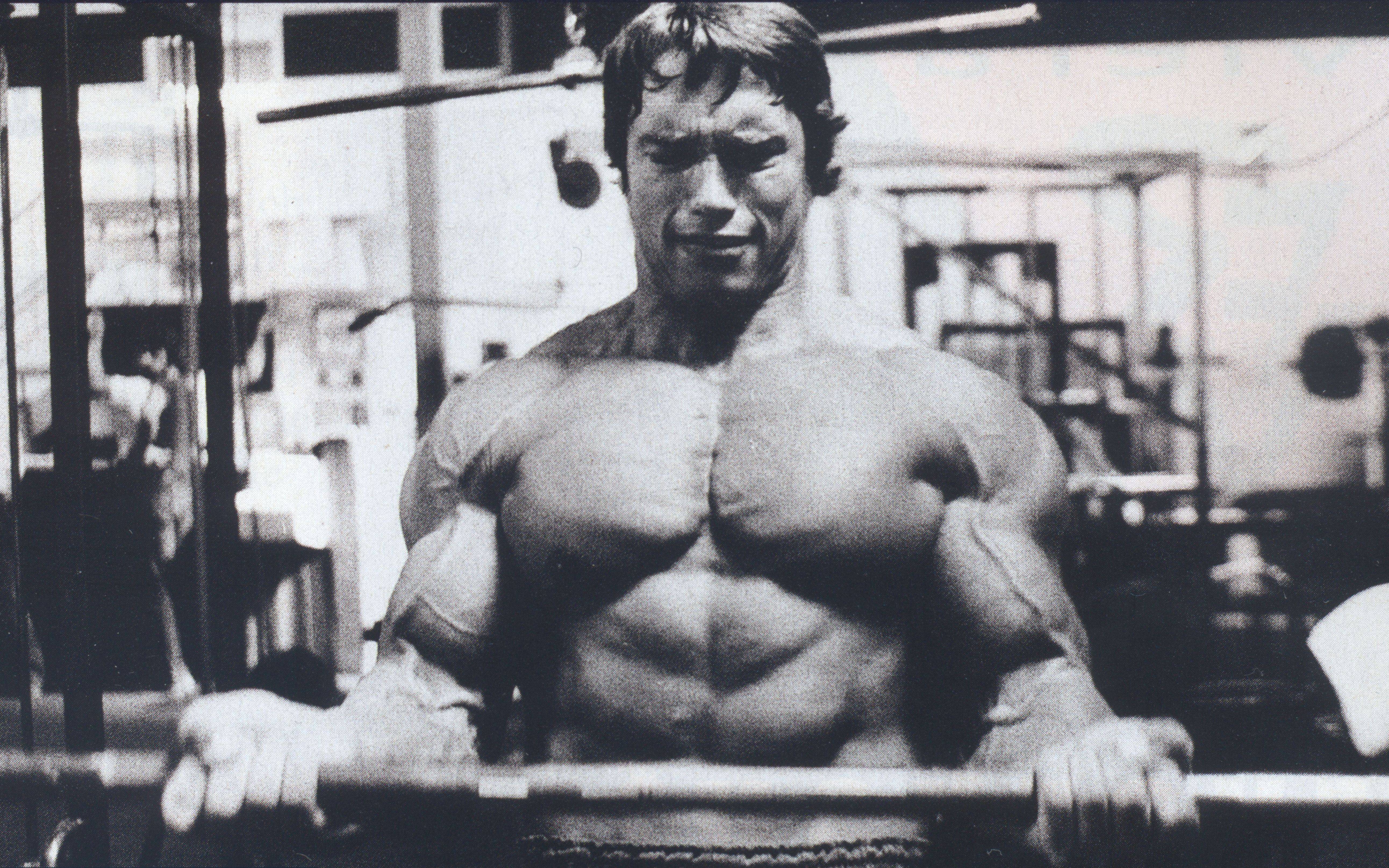 5168x3230 Arnold Motivational Quotes Wallpaper. QuotesGram