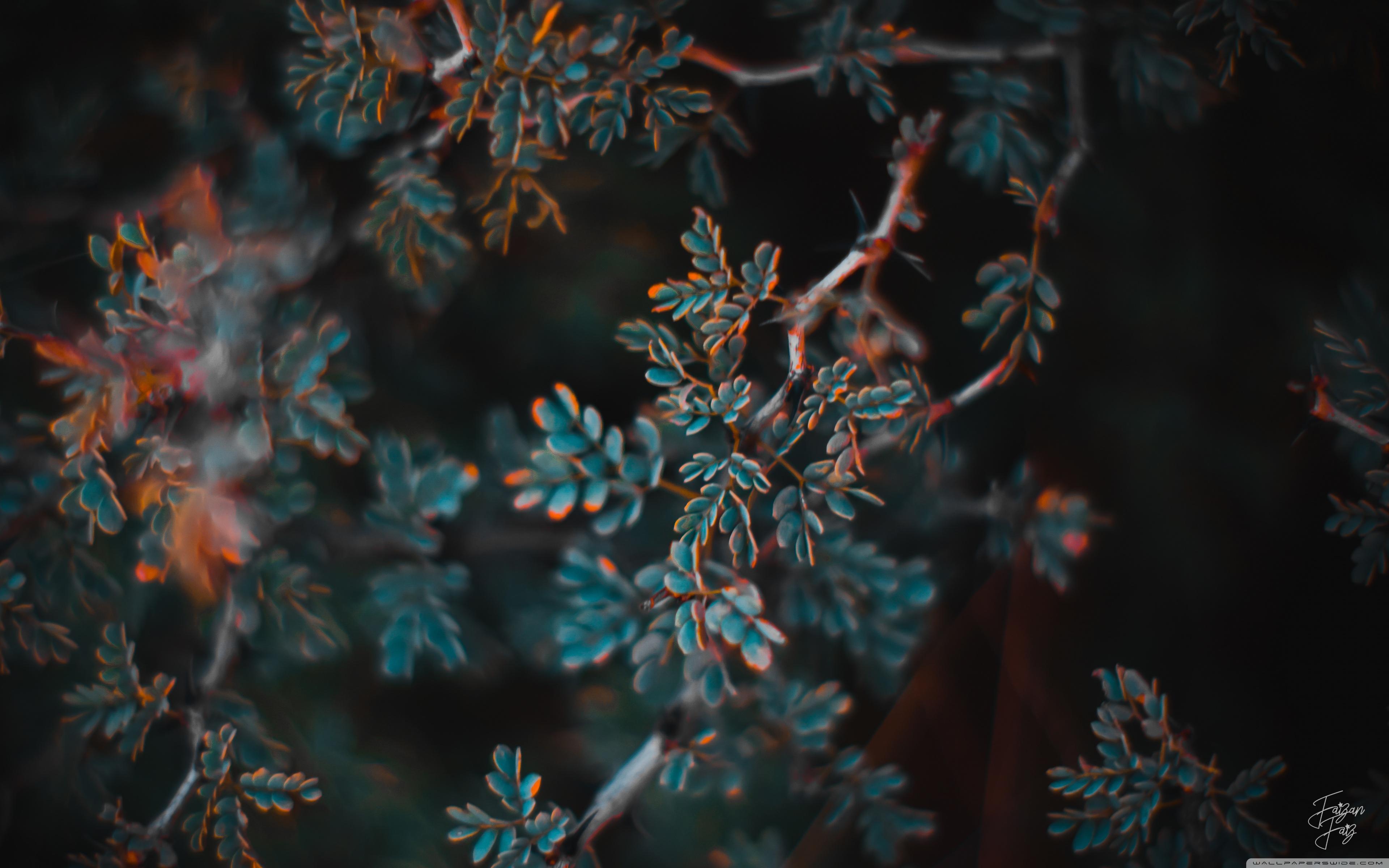 3840x2400 Teal and Orange Ultra HD Desktop Background Wallpaper for 4K UHD TV : Widescreen & UltraWide Desktop & Laptop : Tablet