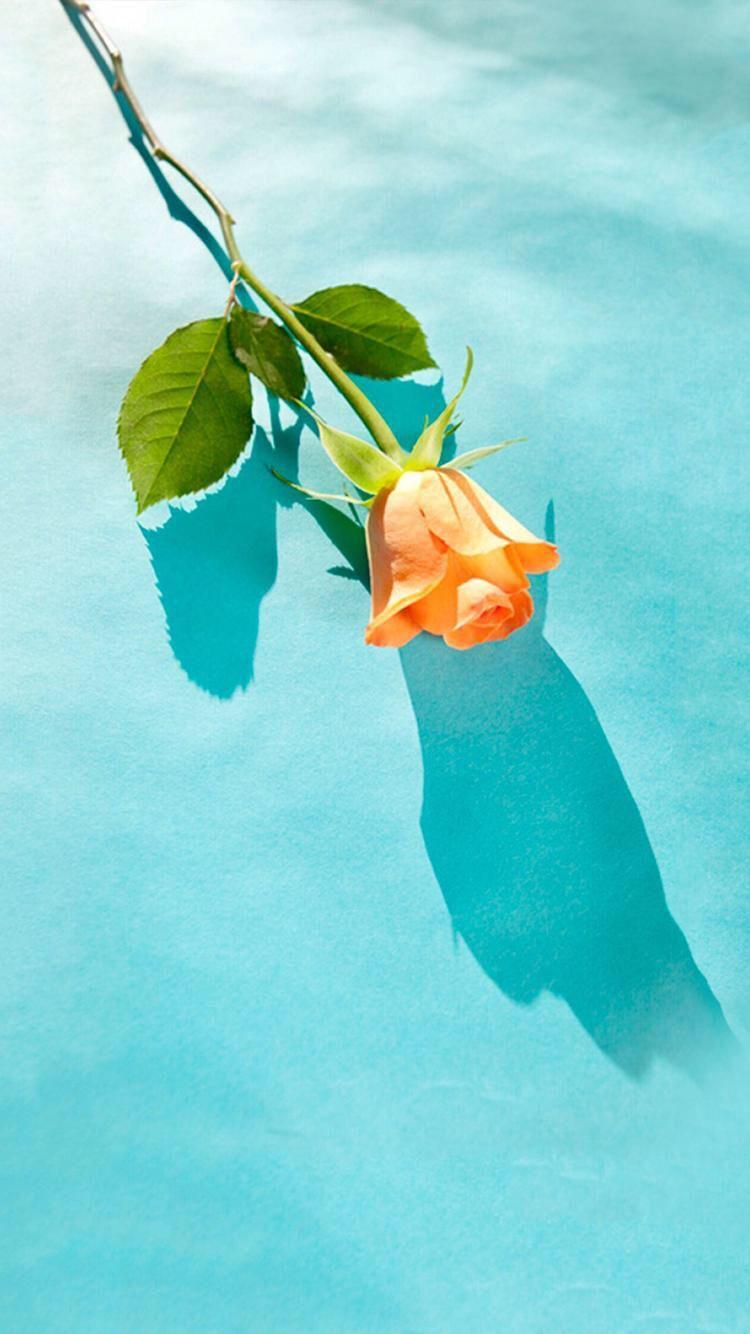 750x1334 Orange And Green Wallpaper