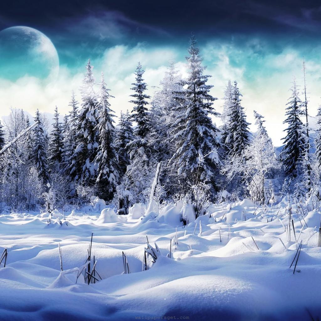 1024x1024 Free download iPad Wallpaper Download 2012 Christmas Winter Wallpaper for [1024x1024] for your Desktop, Mobile & Tablet. Explore Free Holiday Wallpaper for iPad. Apple iPad Pro Wallpaper, iPad Wallpaper