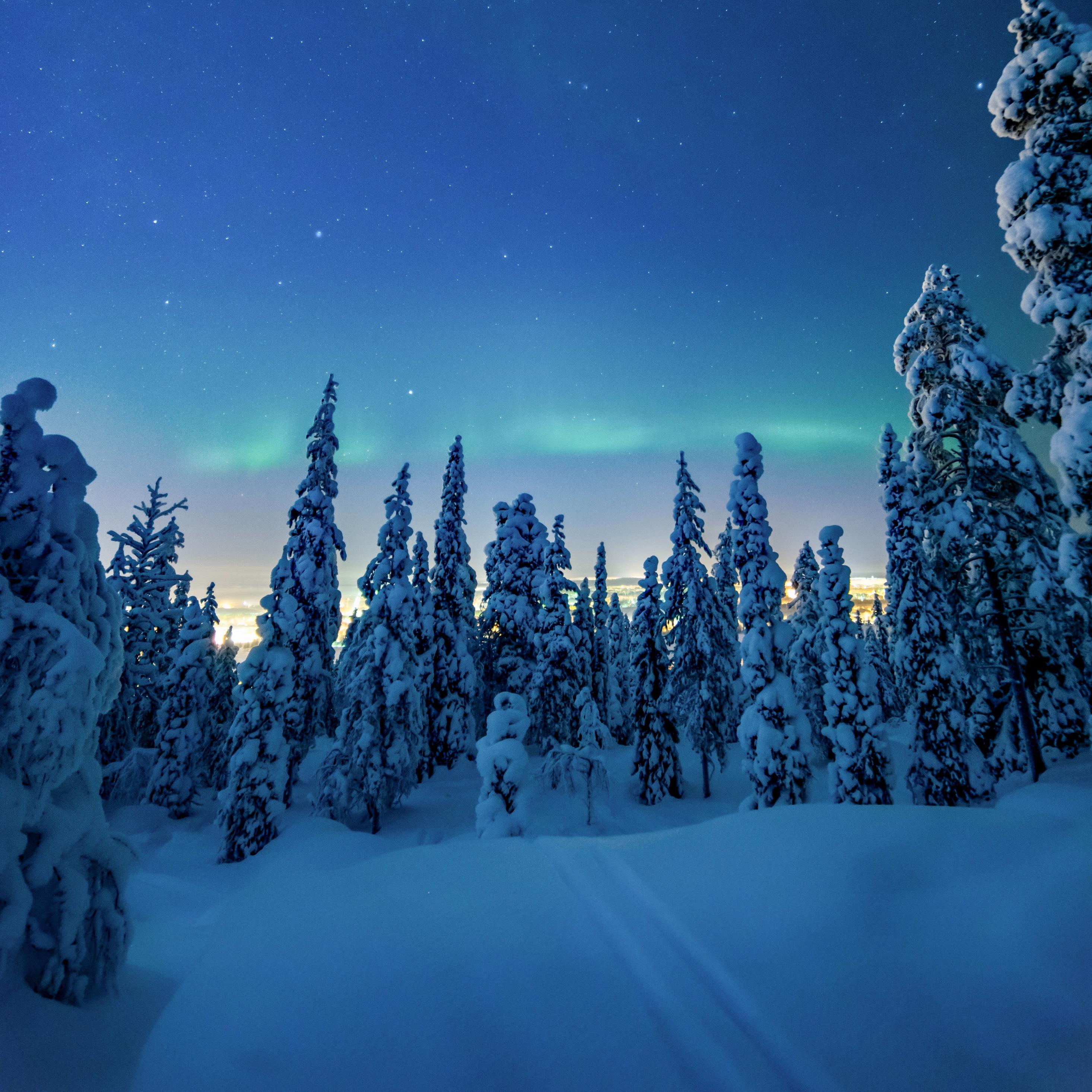2932x2932 Download Winter, snow layer, dawn, trees wallpaper, 2932x iPad Pro Retina