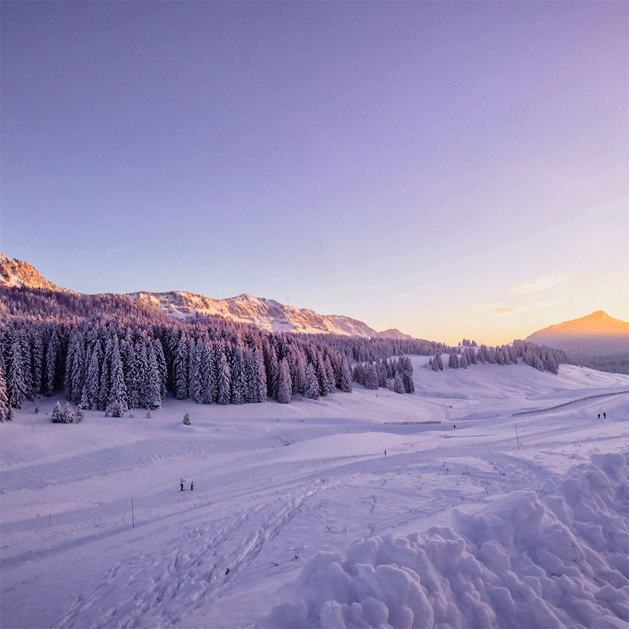 2048x2048 winter snow trees 4k iPad Pro Wallpaper Free Download