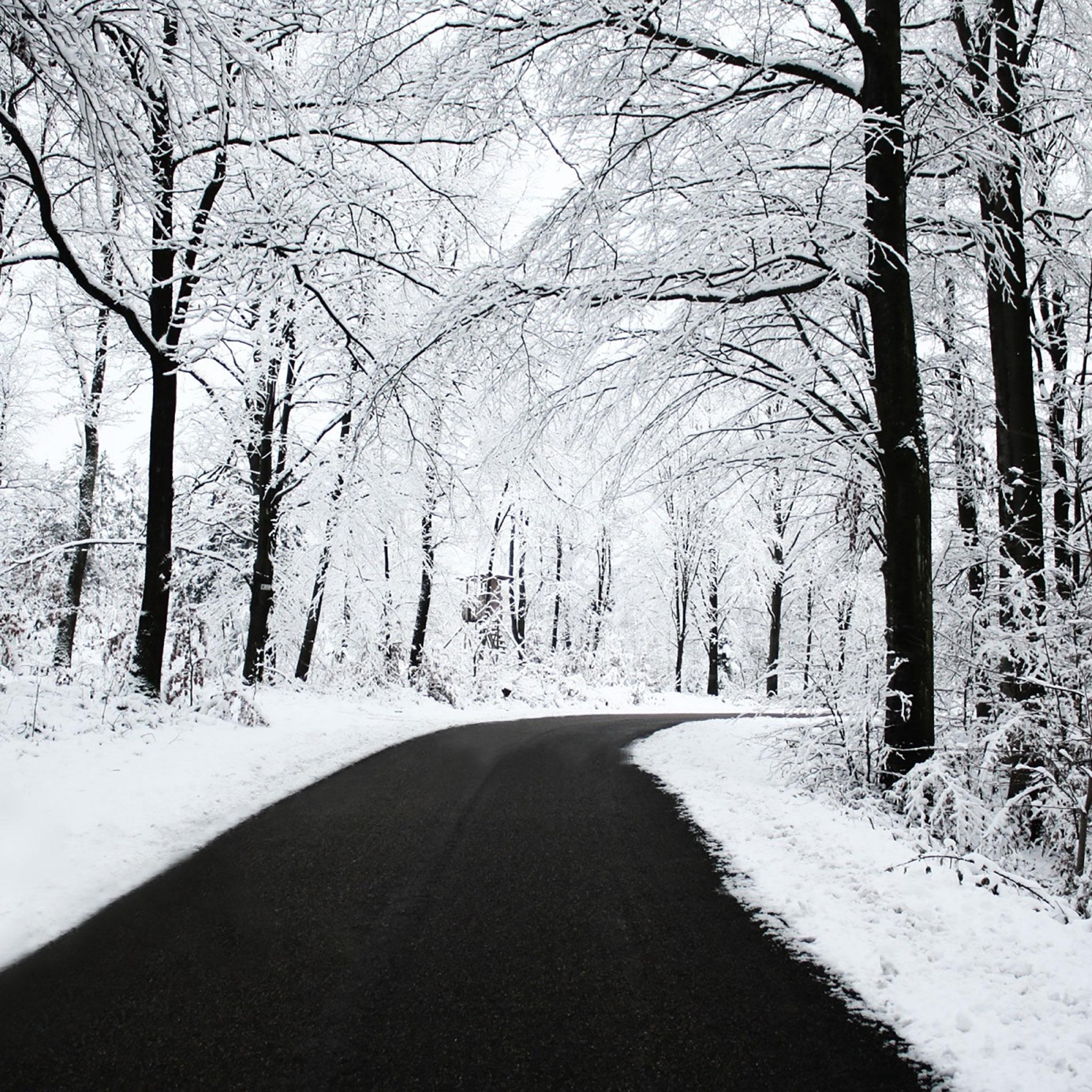 2048x2048 iPad Winter Wallpaper