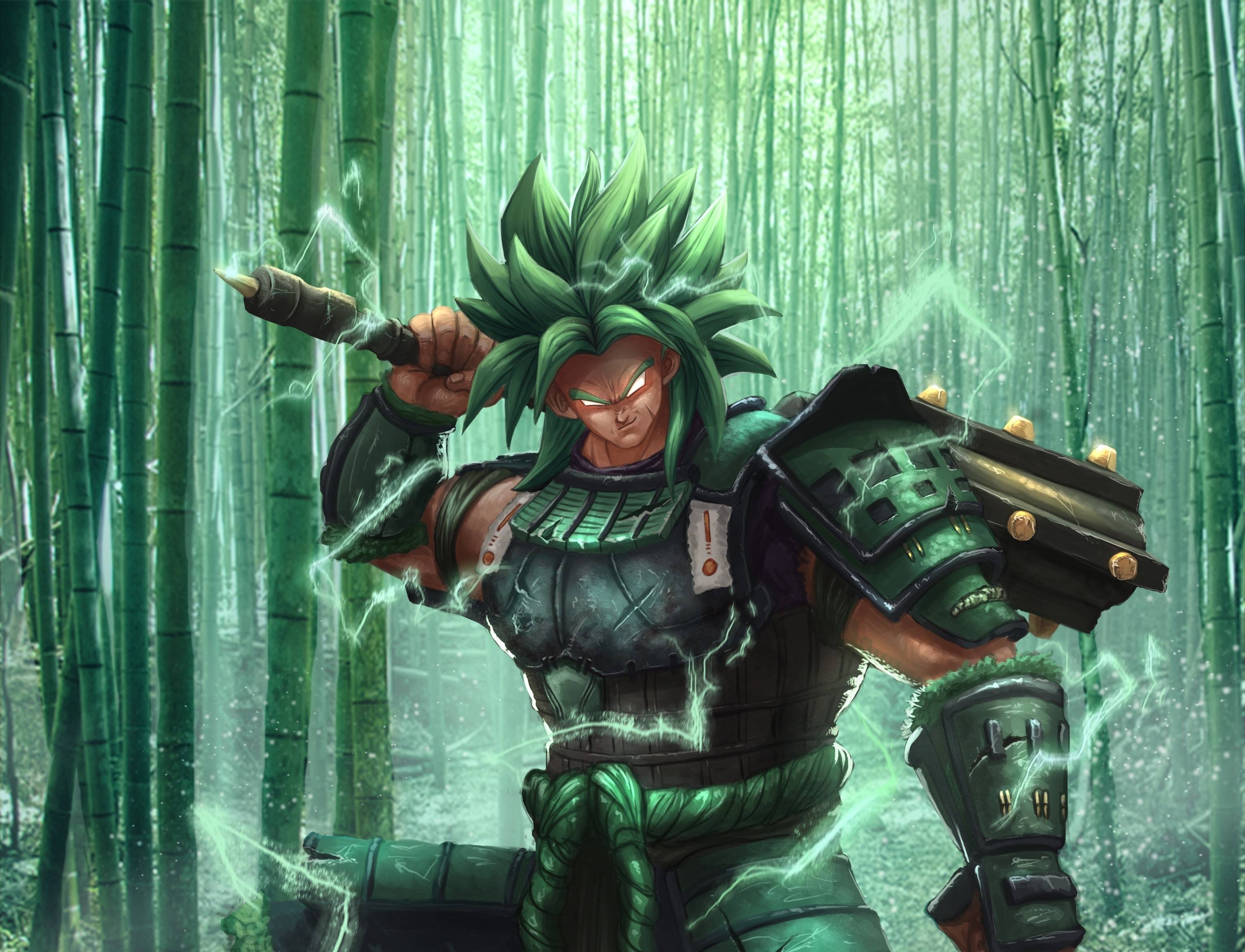 3072x2349 Broly Dragon Ball Wallpaper, HD Anime 4K Wallpaper, Image, Photo and Background