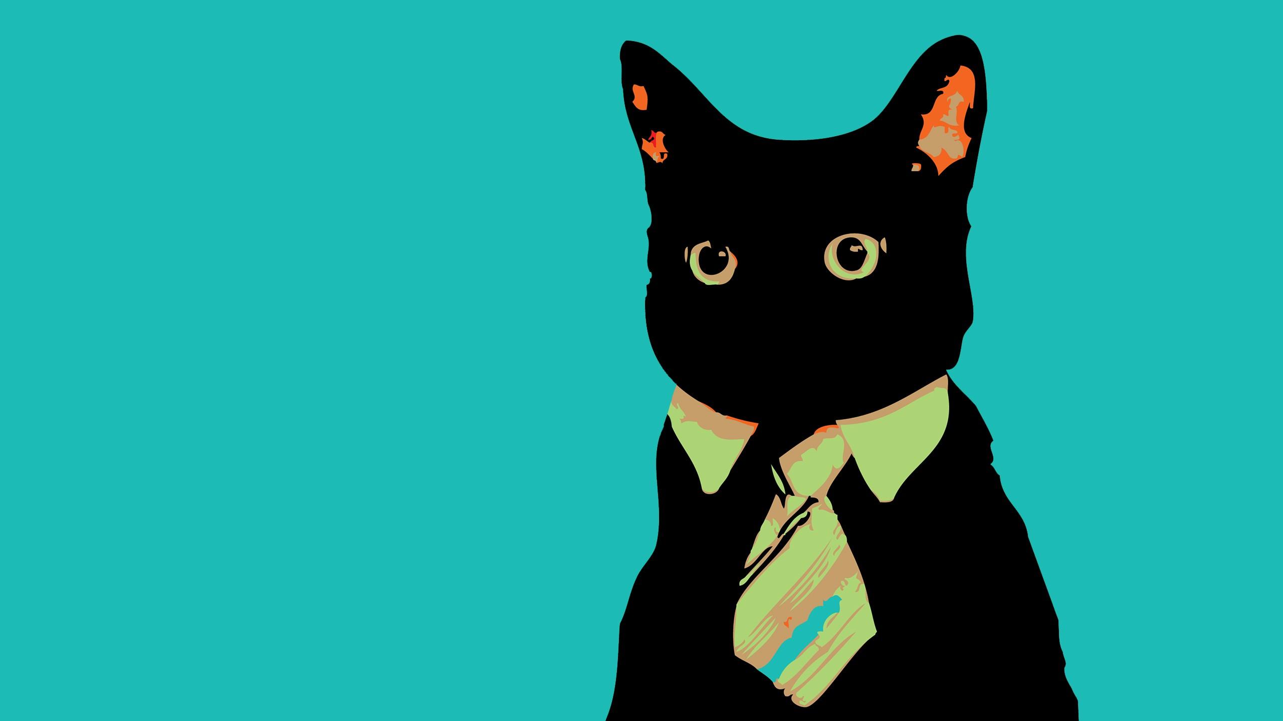 2560x1440 Business Cat. (2560x1440): wallpaper