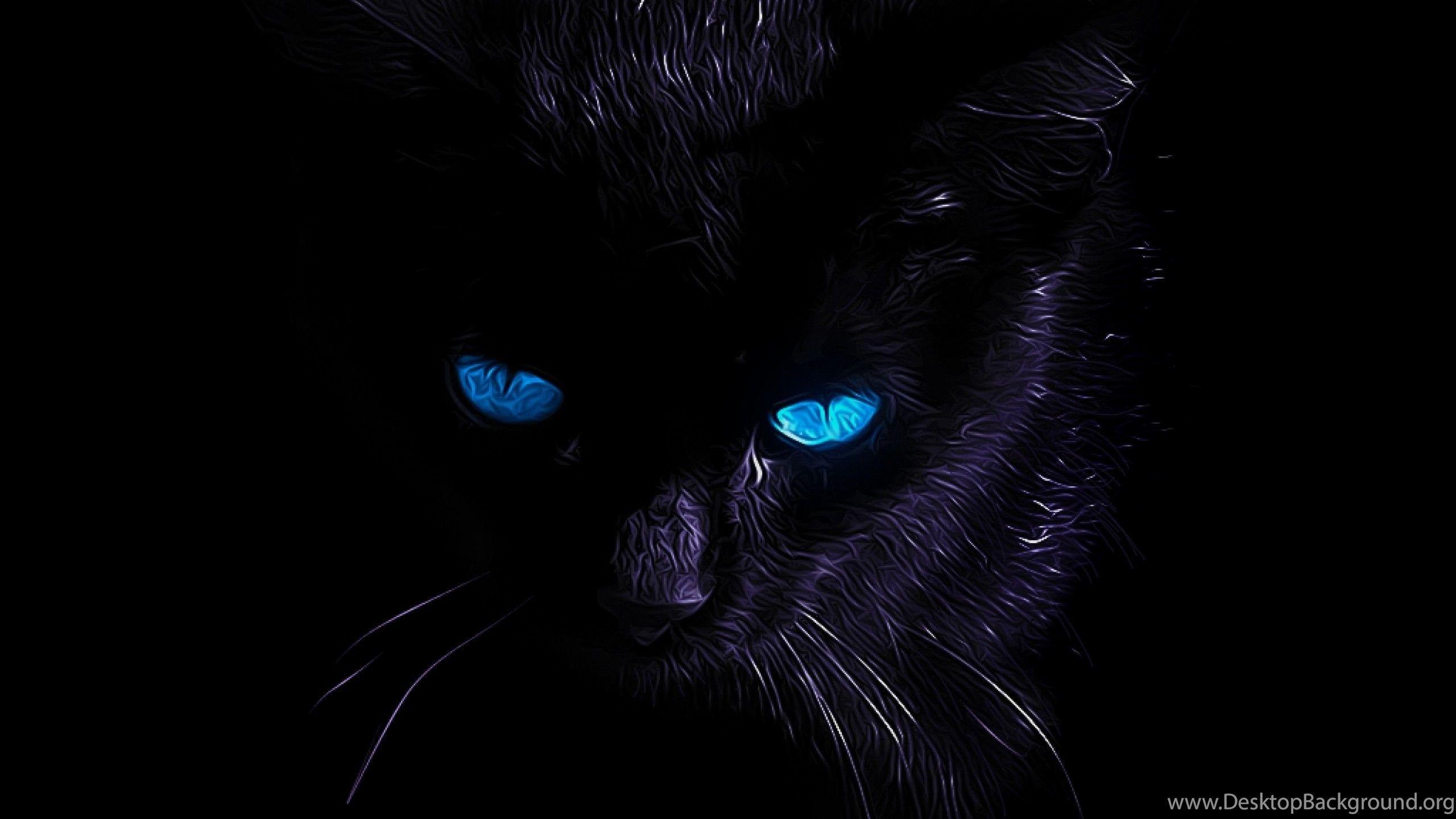 2560x1440 Free download Black Cat Wallpaper Top Black Cat Background [2560x1440] for your Desktop, Mobile & Tablet. Explore Blackcat Background. Blackcat Background