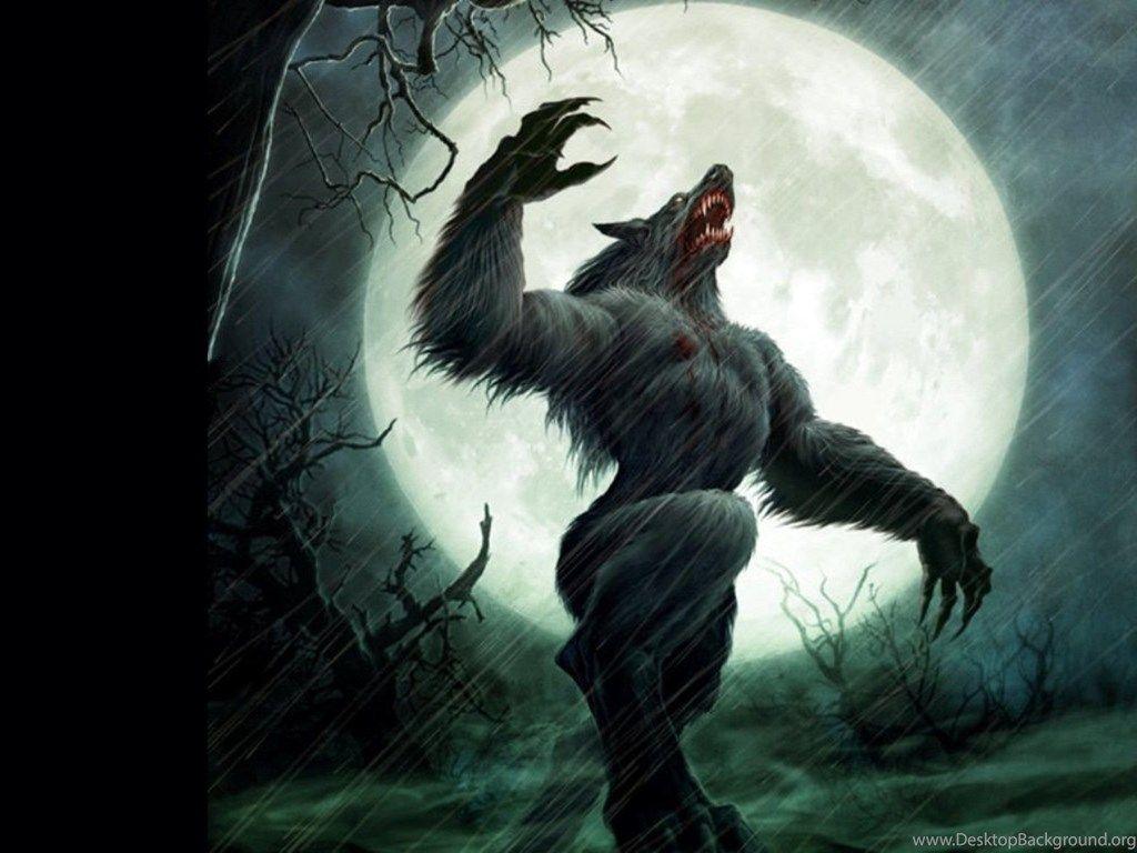 1024x768 Cool Wolf Wallpaper Group Picture