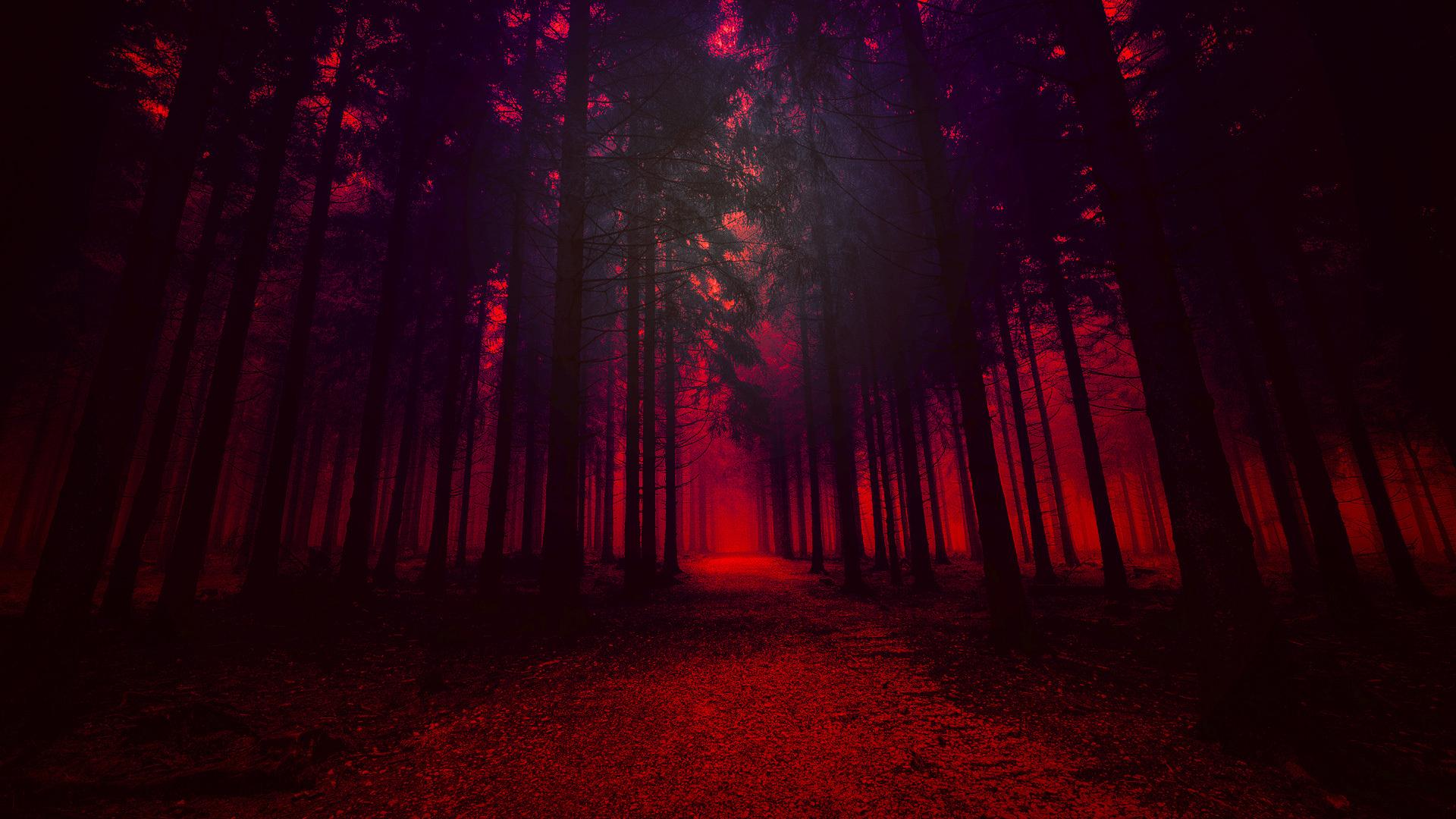 1920x1080 Artistic Red Forest Laptop Full HD 1080P HD 4k Wallpaper, Image, Background, Photo and Picture