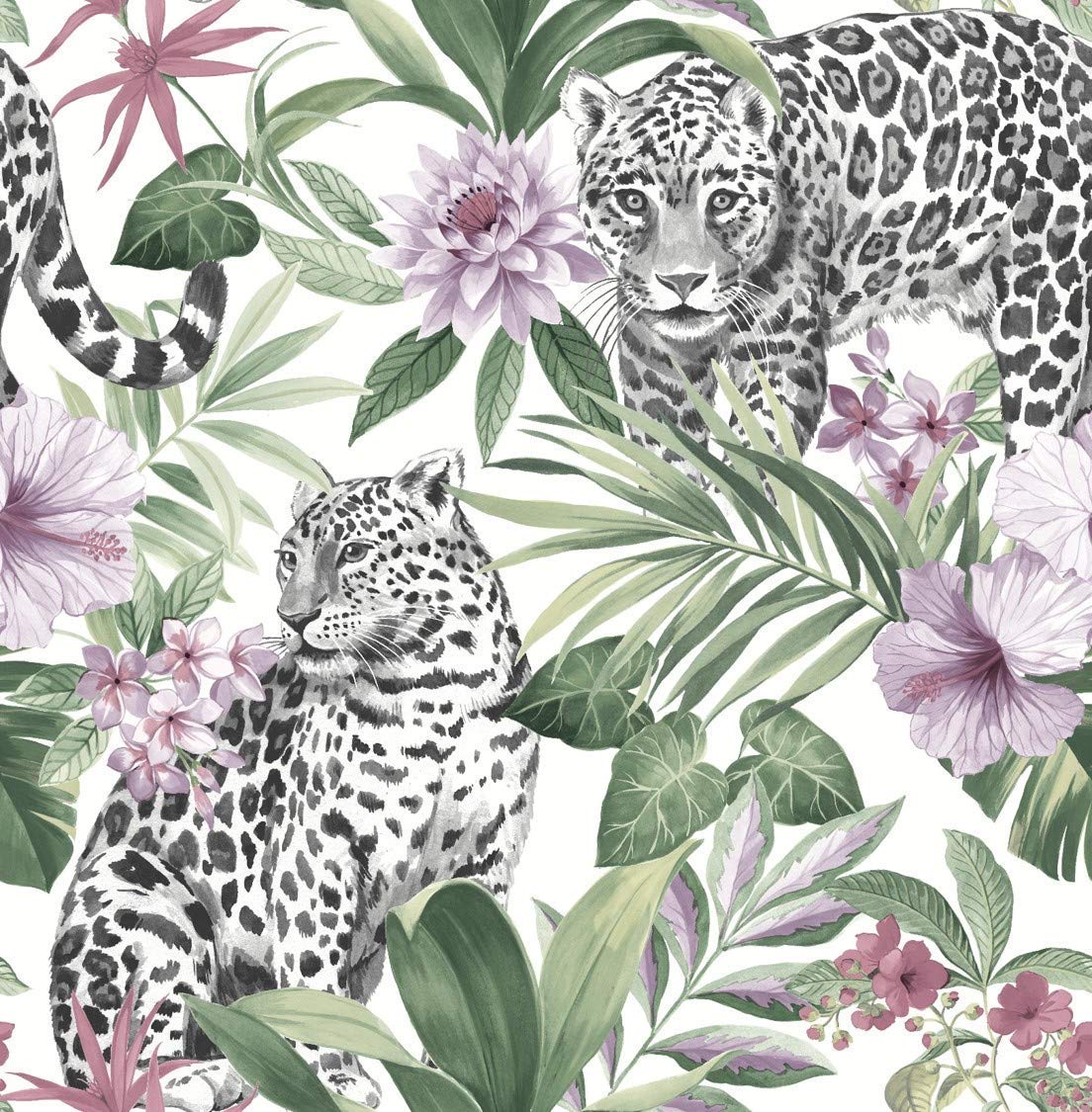 Jungle Print Wallpapers - Top Free Jungle Print Backgrounds