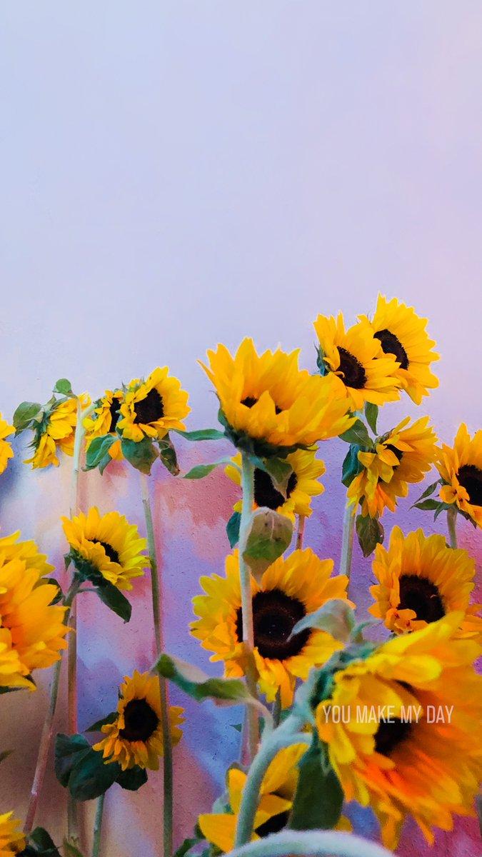 675x1200 seventeen, wallpaper and pop