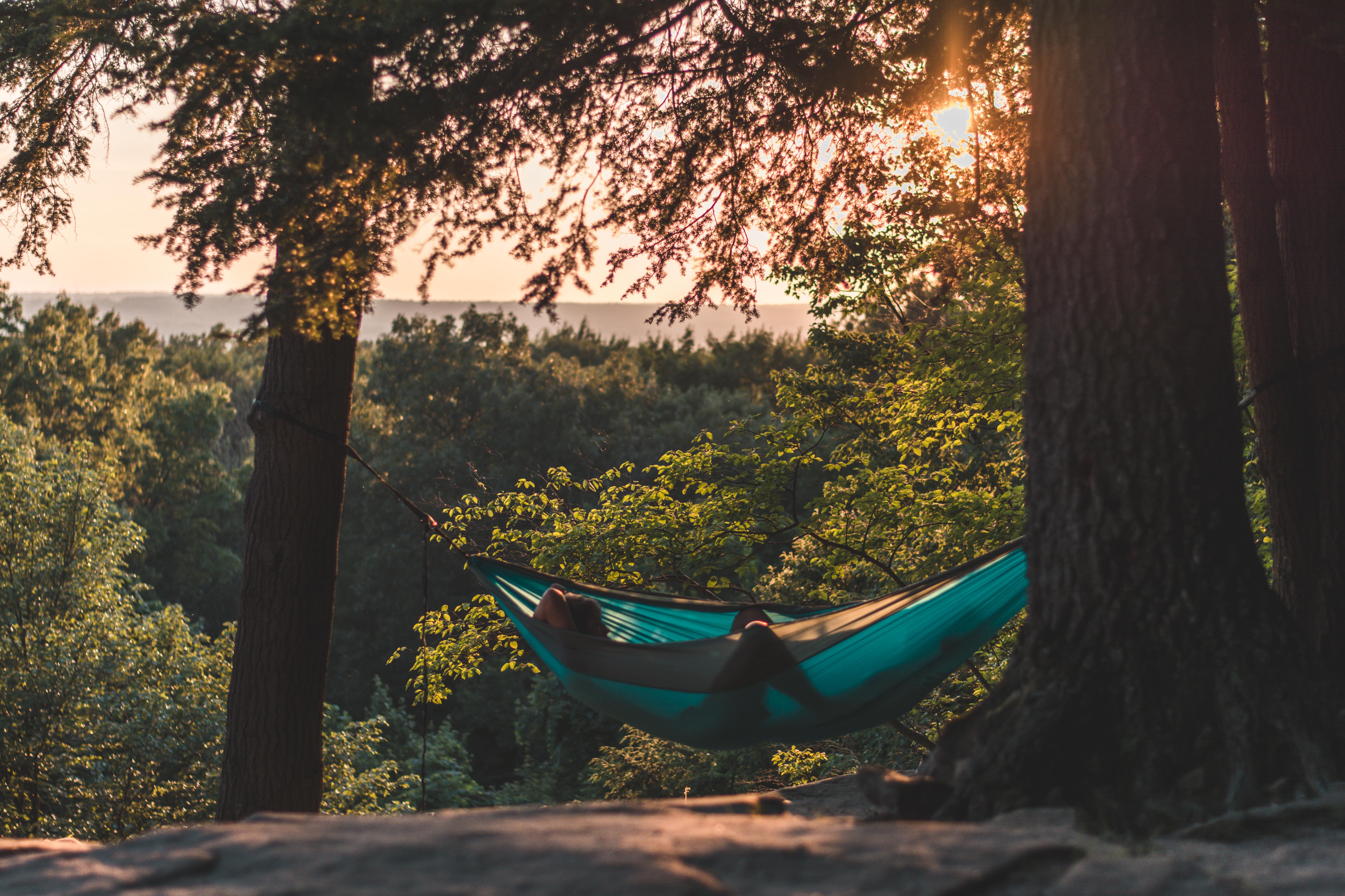6000x4000 Person Lying on Hammock Between Trees at Daytime · Free