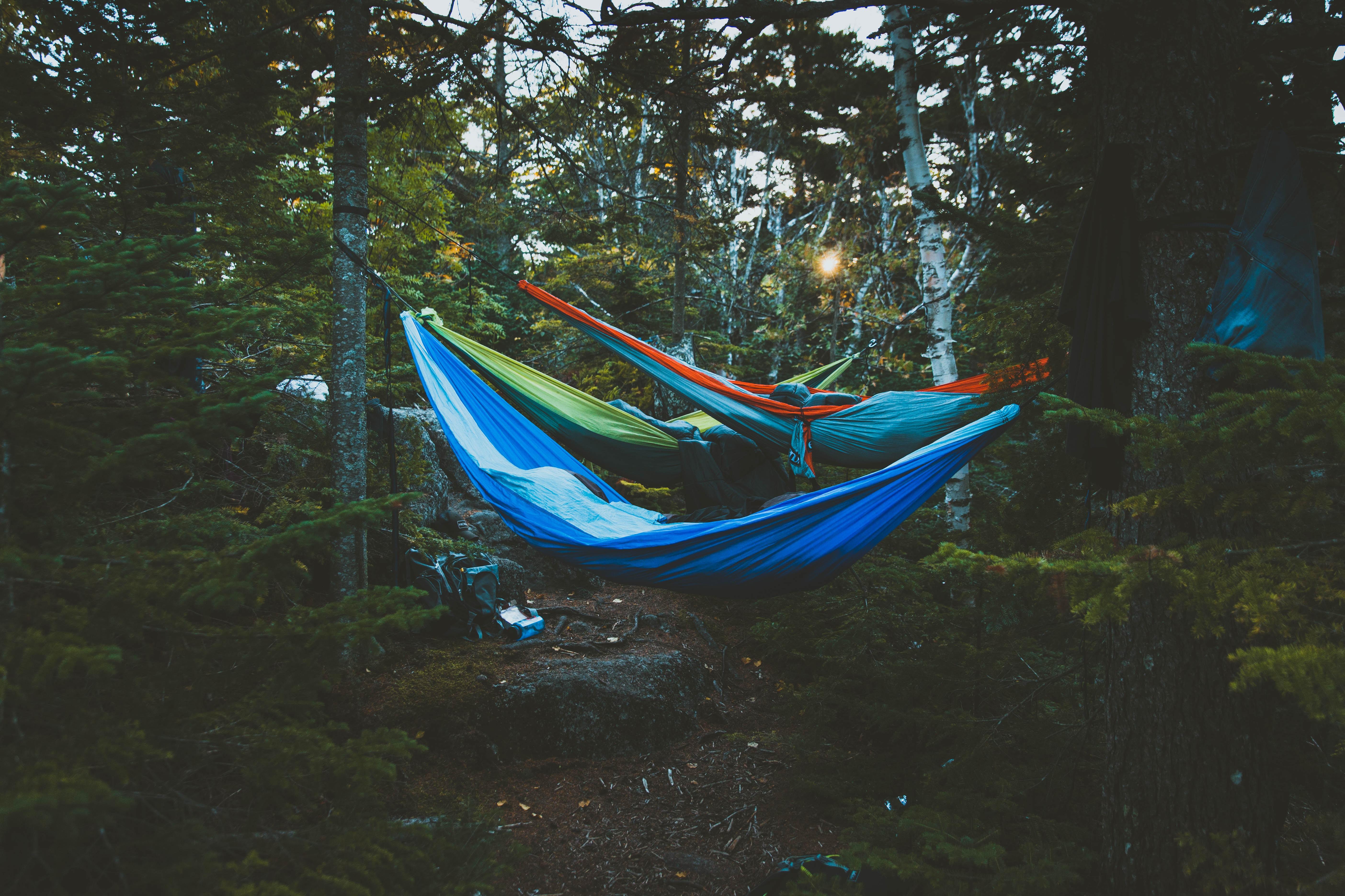 5616x3744 5616x3744 #rest, #hang, #trail, #forest, #wanderlust, #hammock, #evergreen, #camp, #bed, #outdoor, #pine, #Public domain image, #sleep, # camping, #hiking, #tree, #wood, #sunrise, #adventure, #hammocking, #three. Mocah HD Wallpaper