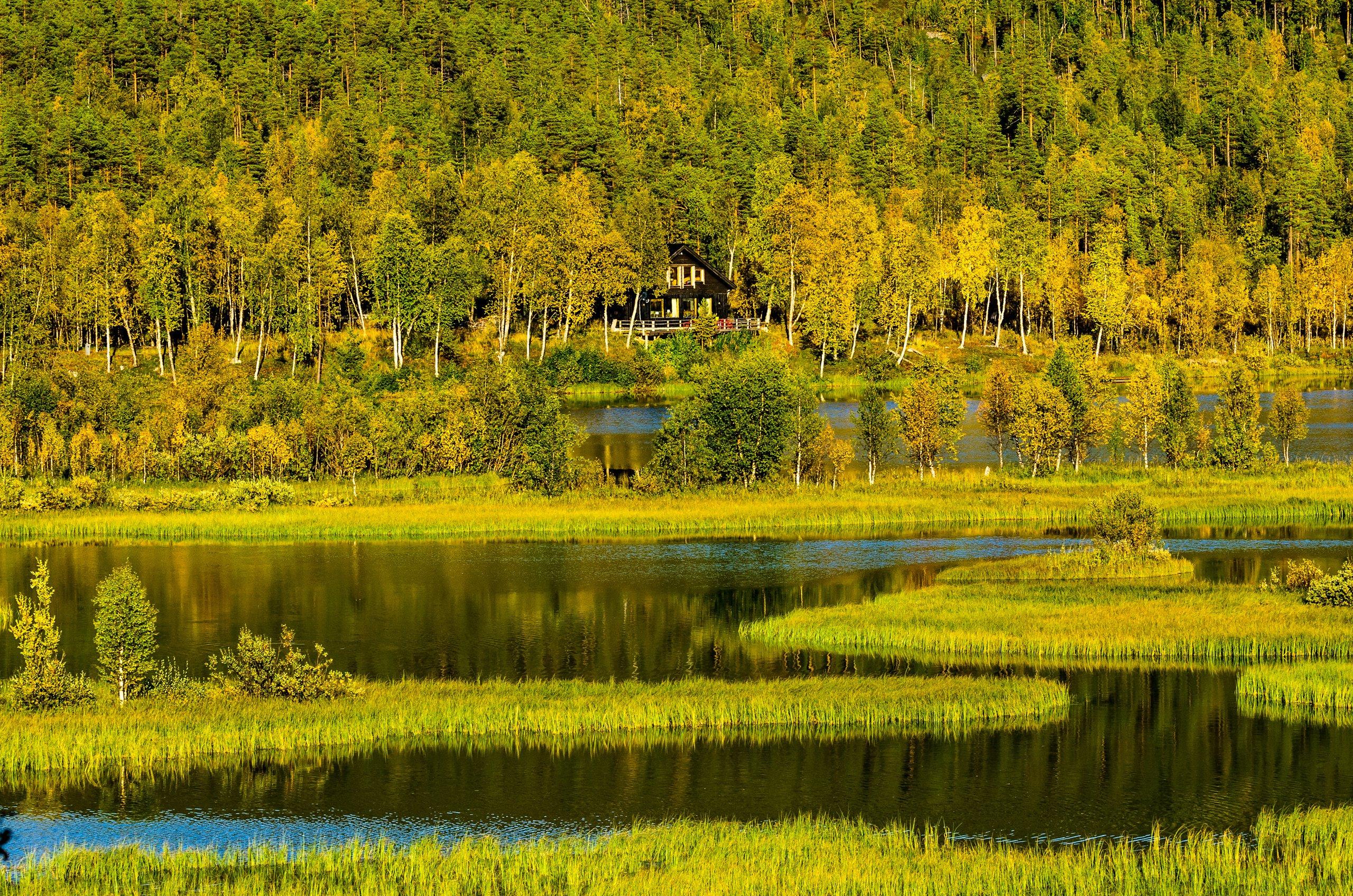 2560x1696 trees, Forest, Norway, House, Lake, Autumn Wallpaper HD / Desktop and Mobile Background
