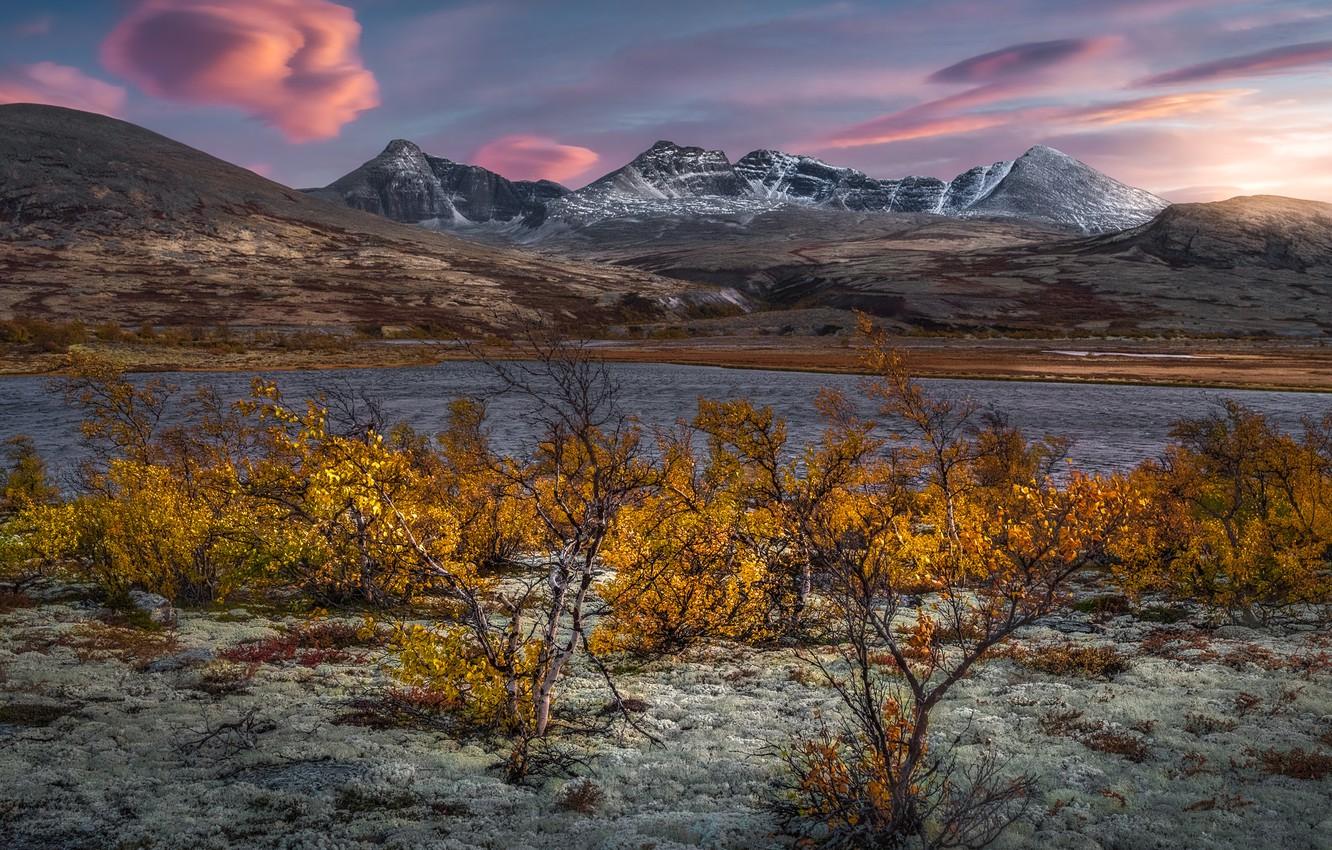 1332x850 Wallpaper autumn, mountains, lake, Norway, the bushes, Norway, Rondane National Park, Rondane Mountains, Mountain Rondane, Rondane national Park image for desktop, section пейзажи