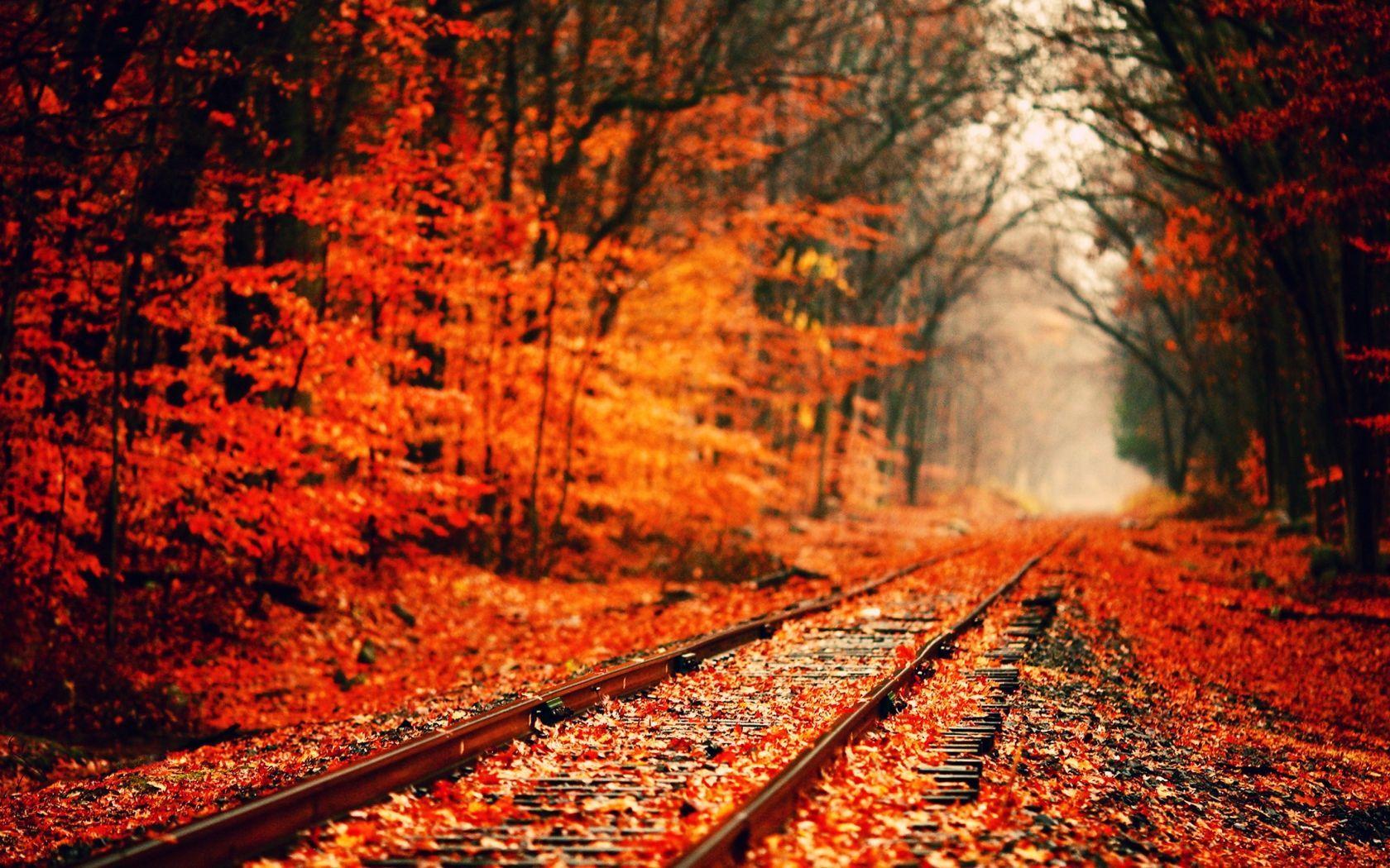 1680x1050 Fall Wallpaper