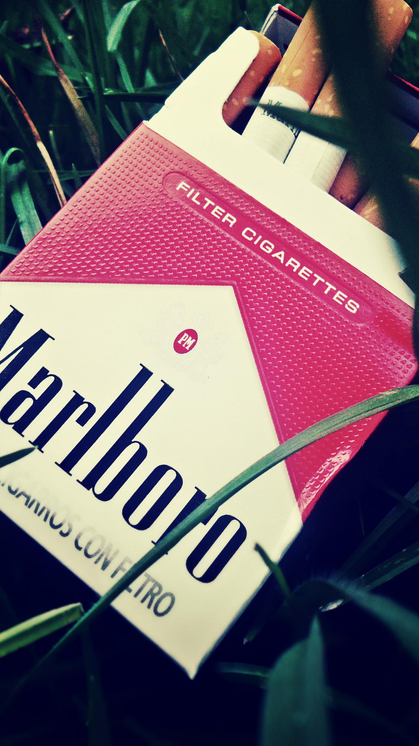 1440x2560 Marlboro Pink Wallpaper