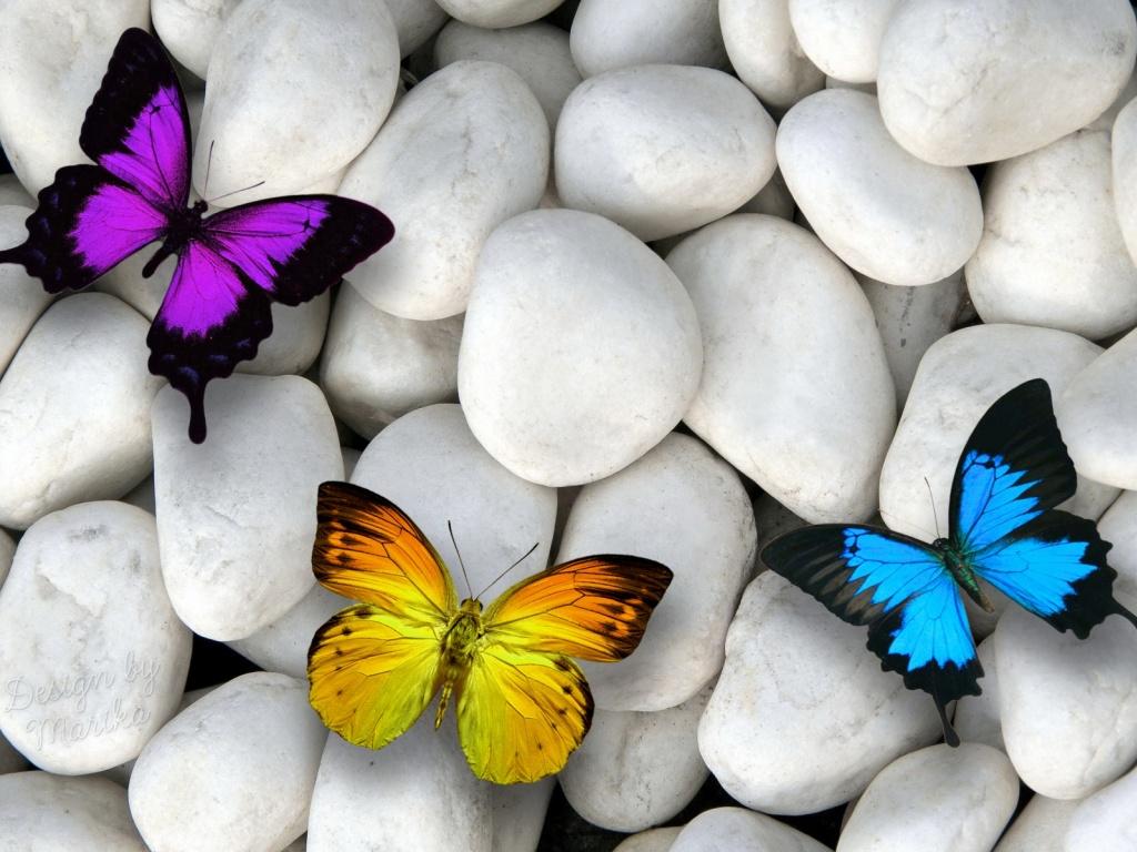 1024x768 Purple Yellow & Blue Butterfly desktop PC and Mac wallpaper