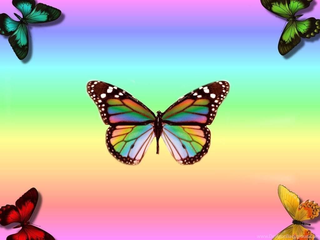 1024x768 Picture rainbow beautiful butterfly Desktop Background