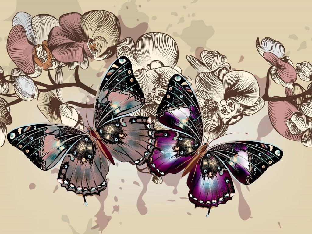 1024x768 Butterfly wallpaper 1024x768 desktop background