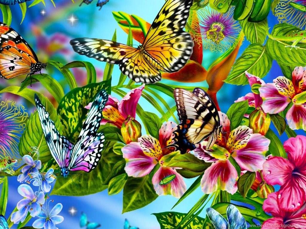1024x768 Beautiful Butterfly Wallpaper Desktop Background