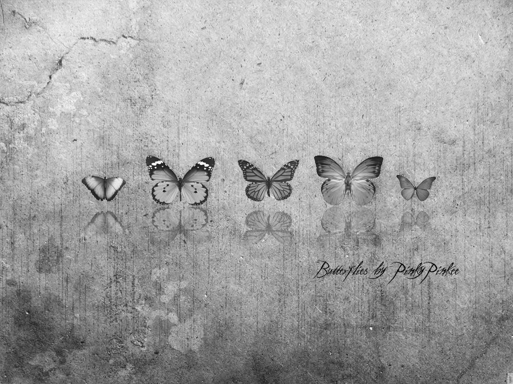 1024x768 butterfly gray vector high definition high resolution 1024x768 wallpaper