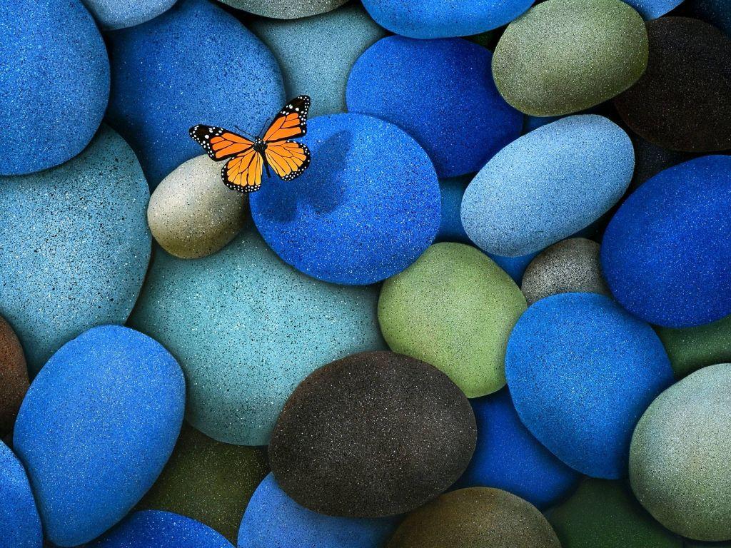 1024x768 Beautiful Butterfly 30350 wallpaper in 1024x768 resolution