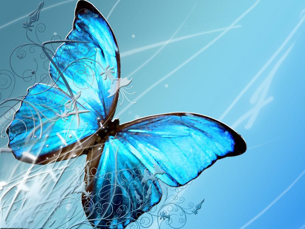 1024x768 blue butterfly wallpaper, butterfly, blue, insect, moths and butterflies, azure