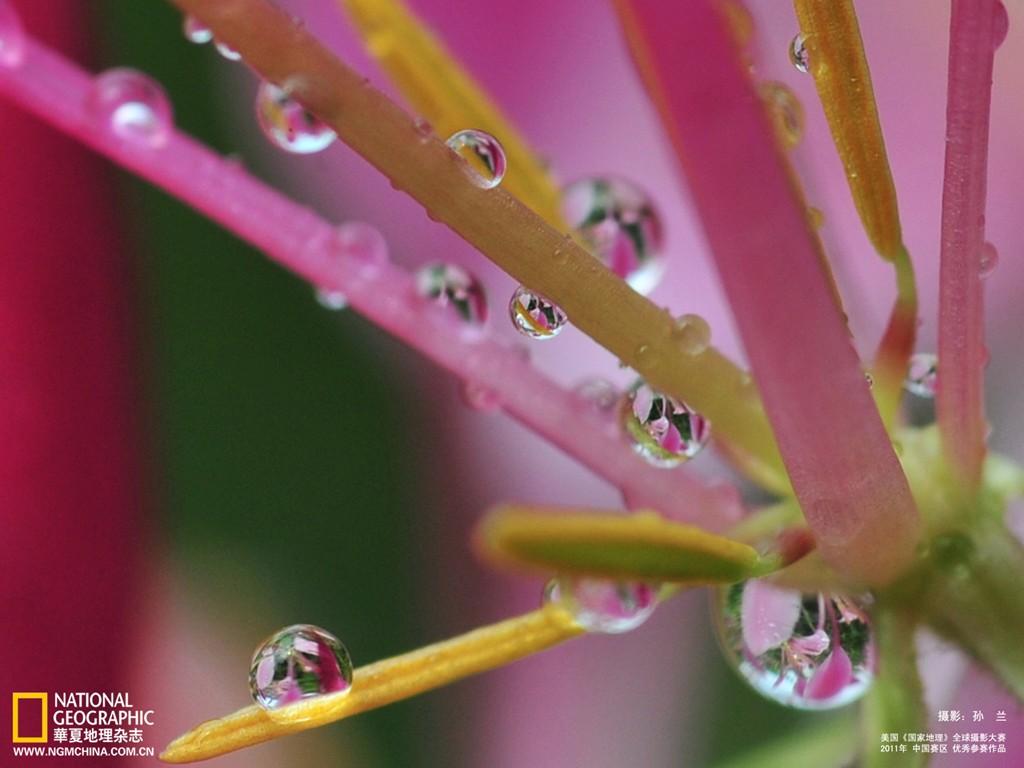 1024x768 The Sun Lan photography rain wallpaper 30882