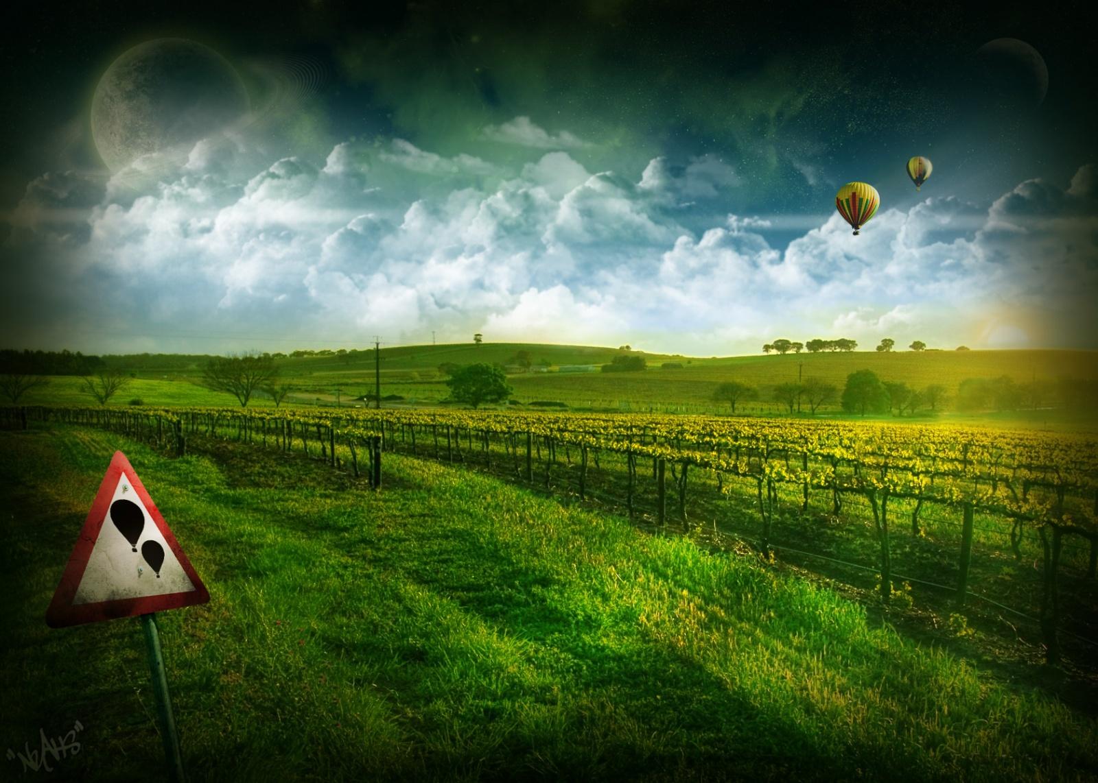 1600x1142 Vineyard wallpaper. Vineyard