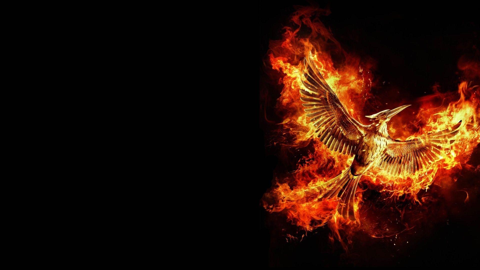 1920x1080 1920x1080 hunger games computer background