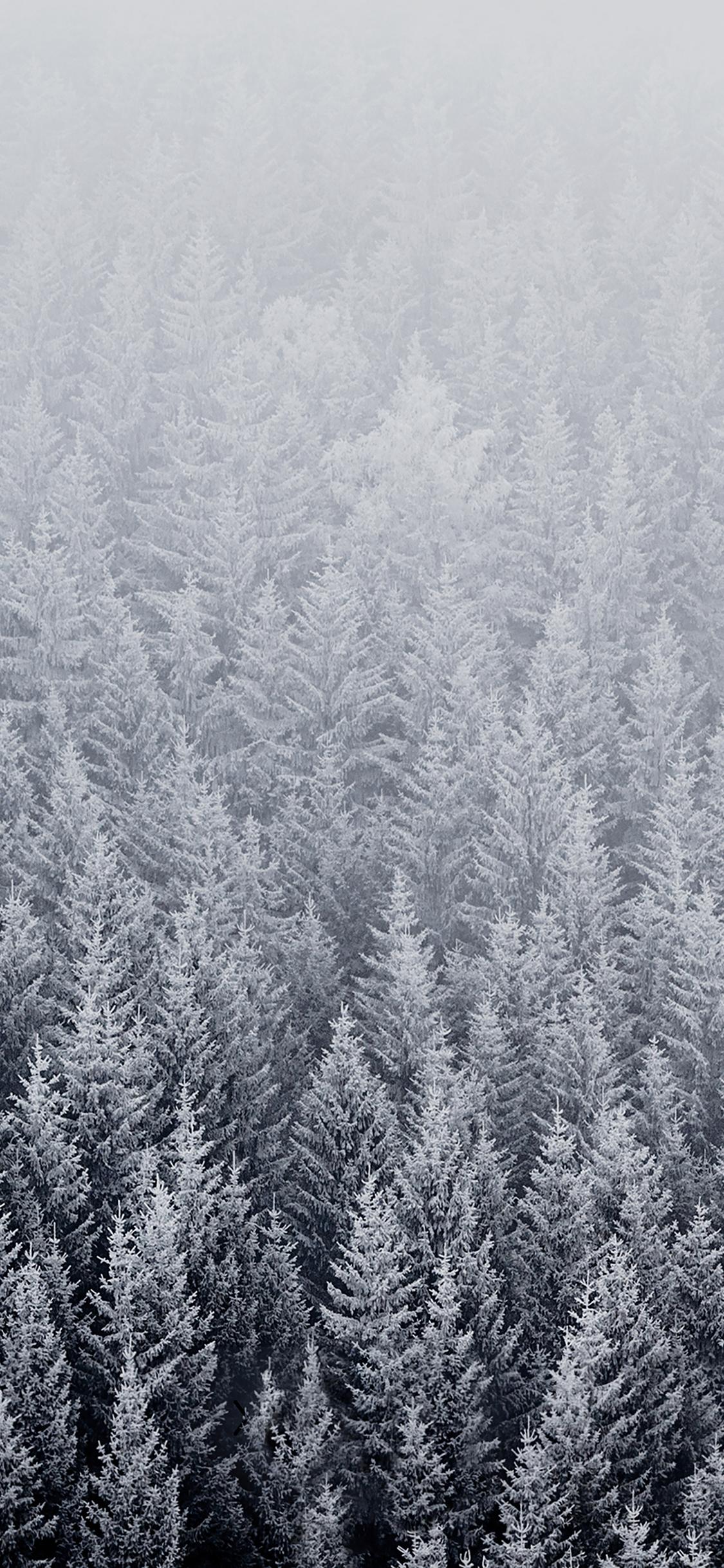 1125x2436 Wallpaper Ios8 Iphone6 Plus Apple Official Default Snow Mountain