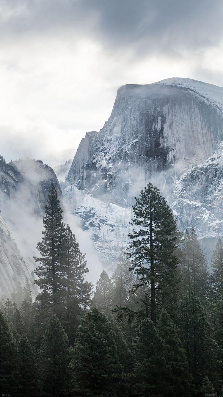 750x1334 yosemite snow mountain nature