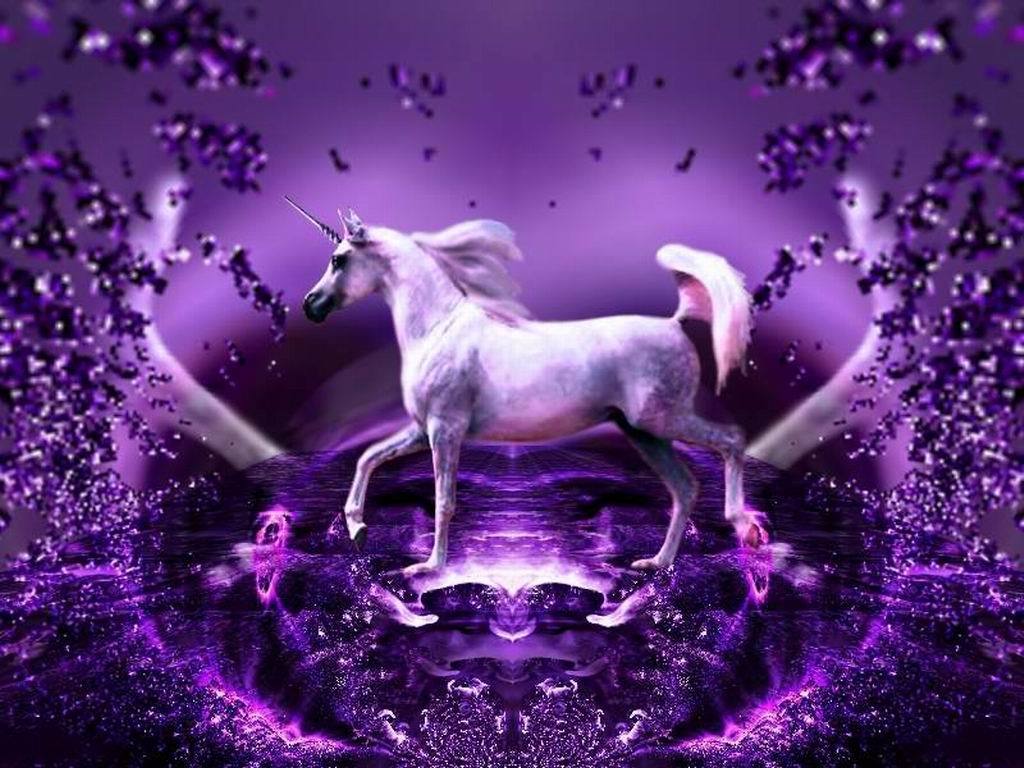 1024x768 Unicorns image Purple Wonder HD hình nền and background các bức ảnh