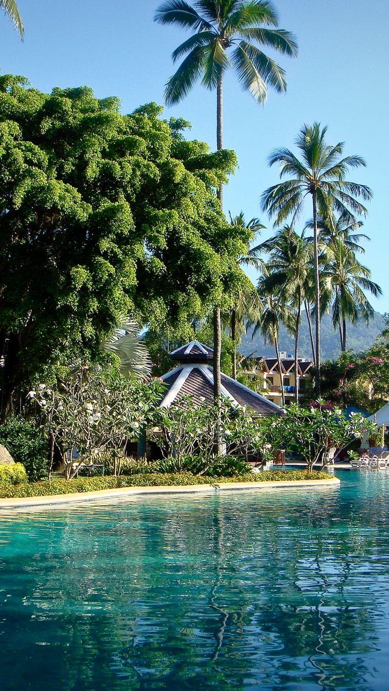 800x1420 Download Wallpaper 800x1420 Park, Phuket, Thailand, Pool, Palms Iphone Se 5s 5c 5 For Parallax HD Background