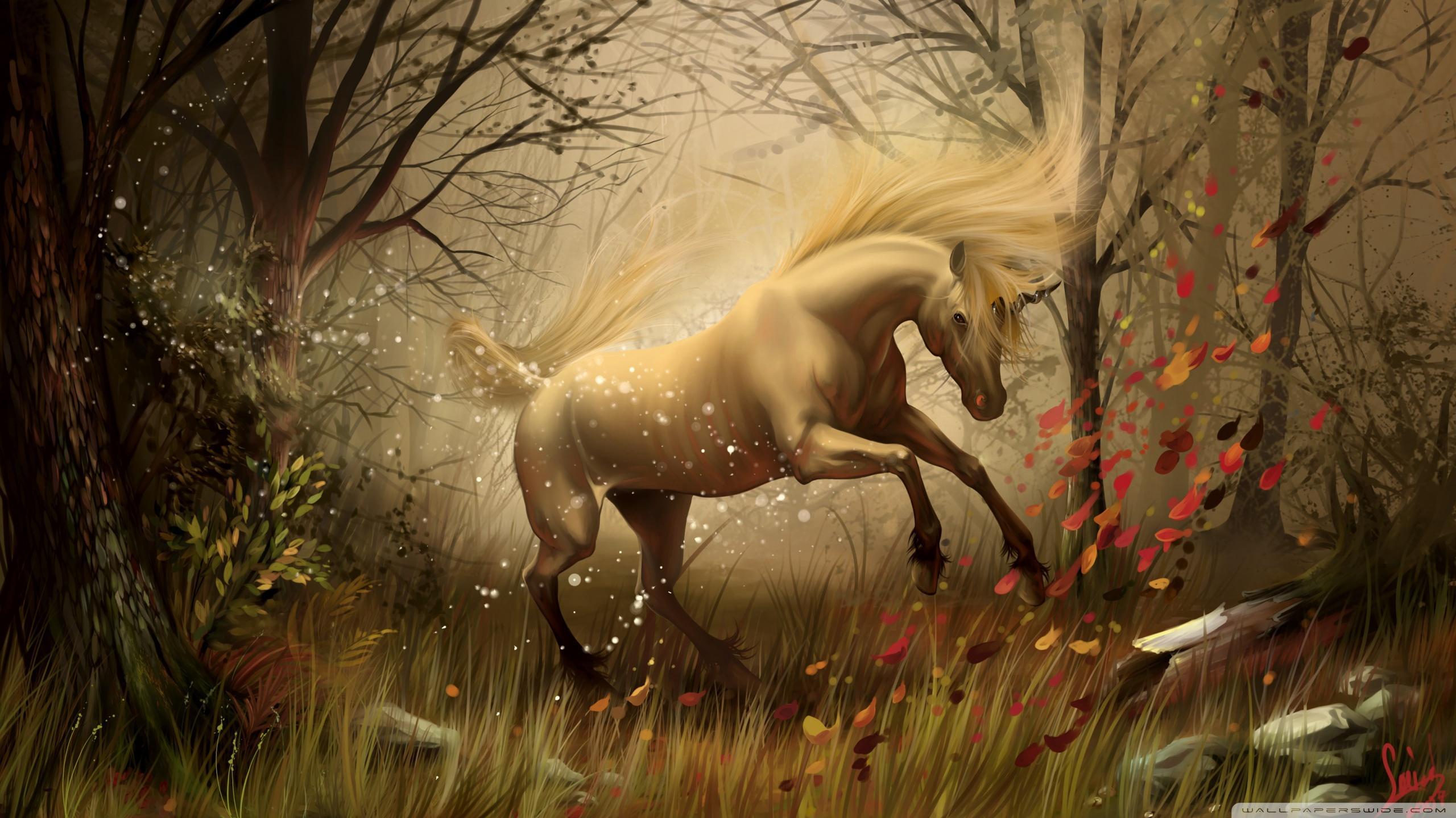 2560x1440 â ™ ¥ .unicorn In Fairy Tales.â ™ ¥ Hình nền máy tính HD: Màn hình rộng