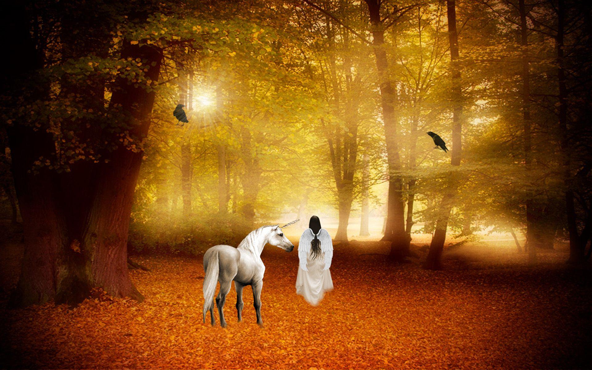 1920x1200 Kỳ lân ngựa động vật huyền diệu thiên thần cổ tích rừng mùa thu g hình nền