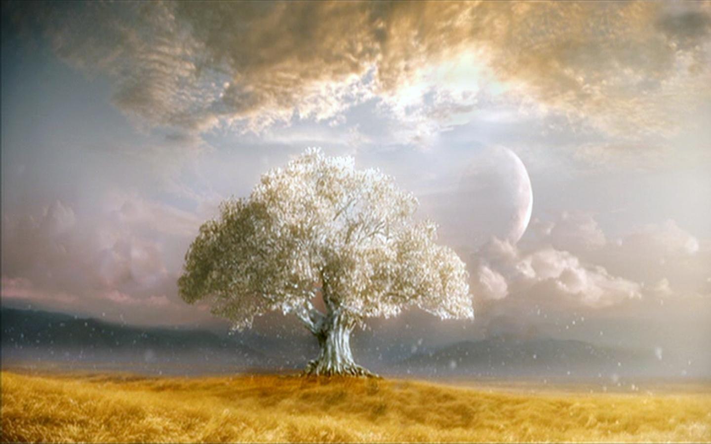 1440x900 Life Tree Wallpaper, HD Life Tree Background