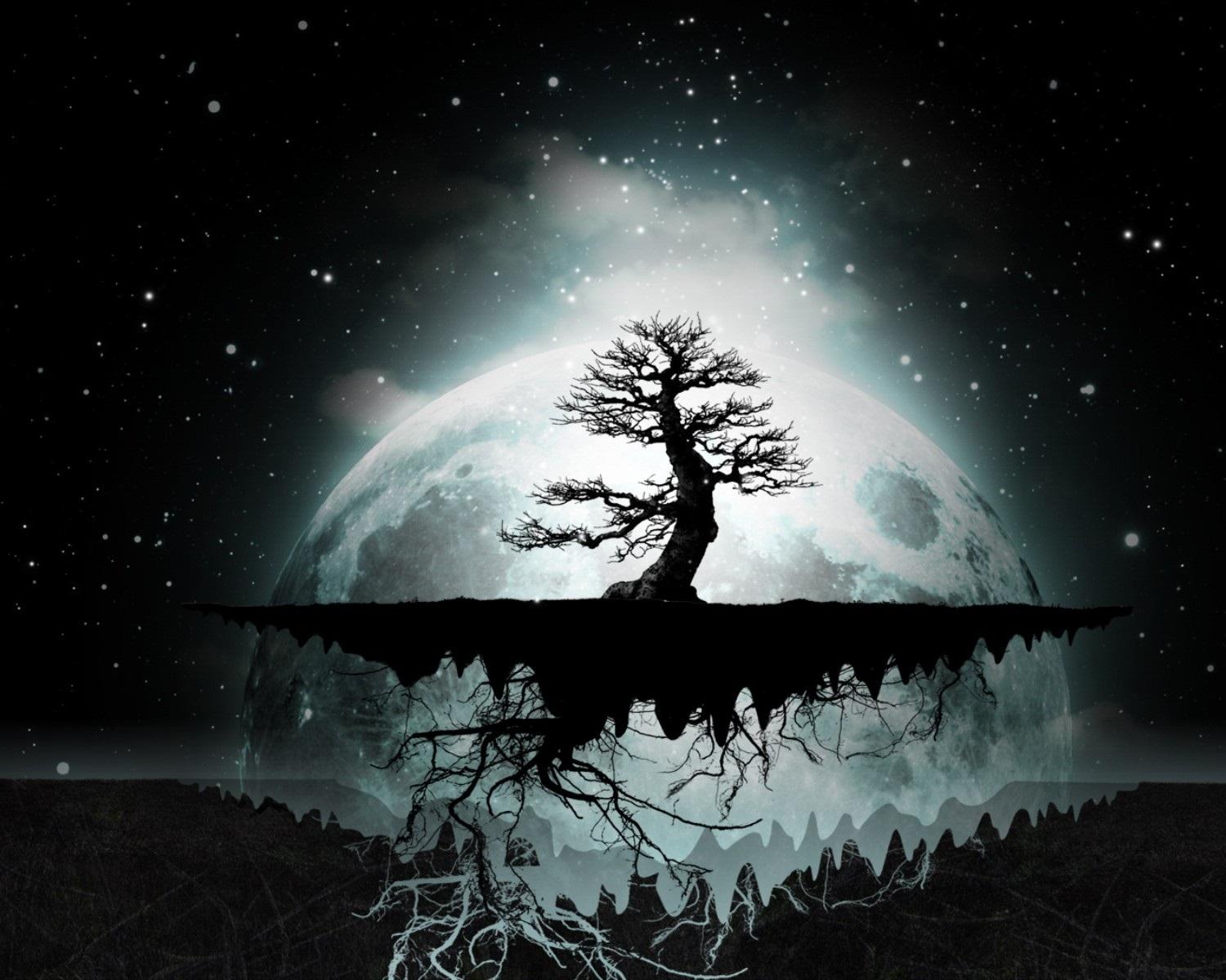 1500x1200 Awesome Background, Awesome, Background, Natural, Night, Shadow, Tree, Wallpaper